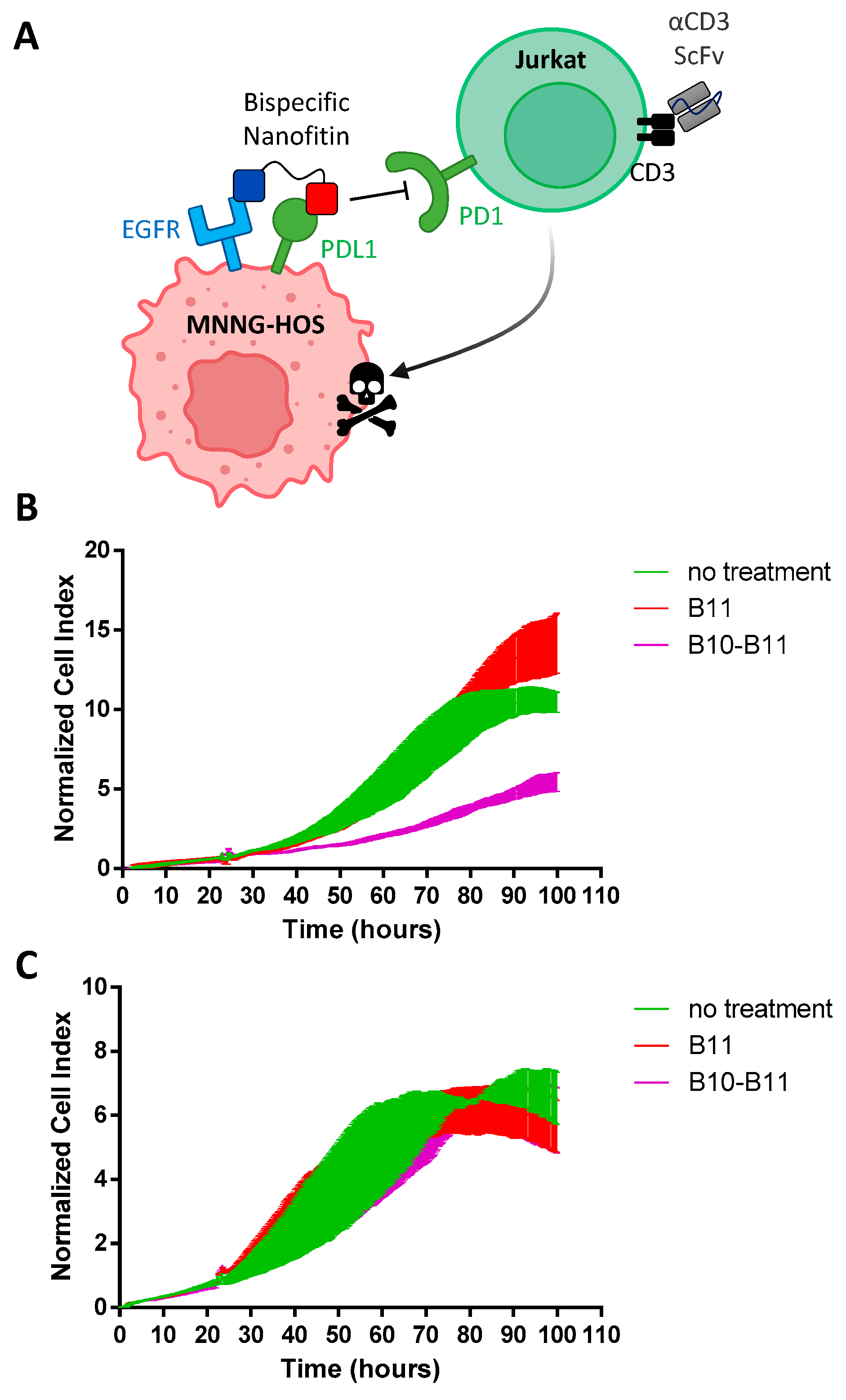 Biomolecules 13 00636 g005