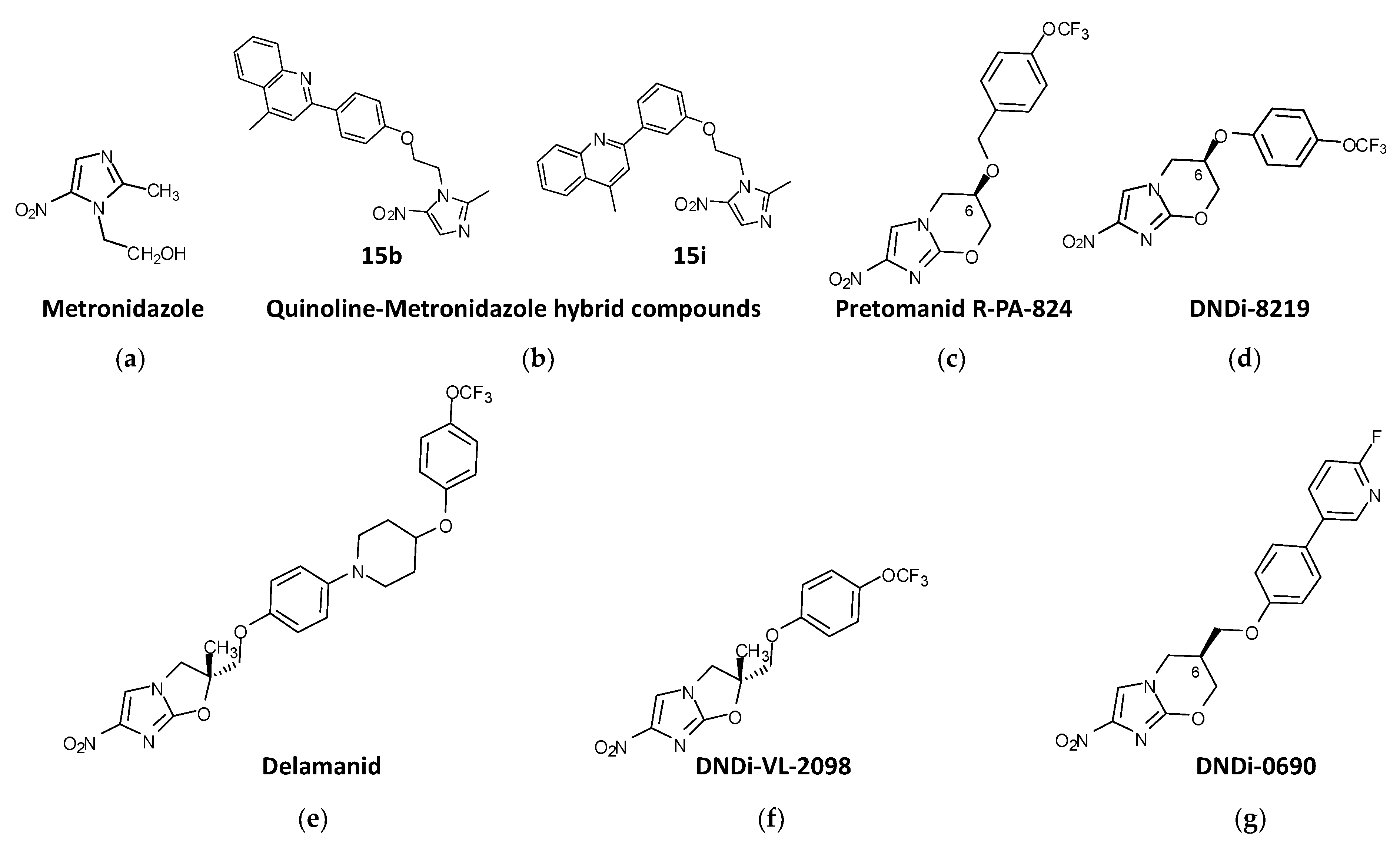 Biomolecules 13 00637 g005