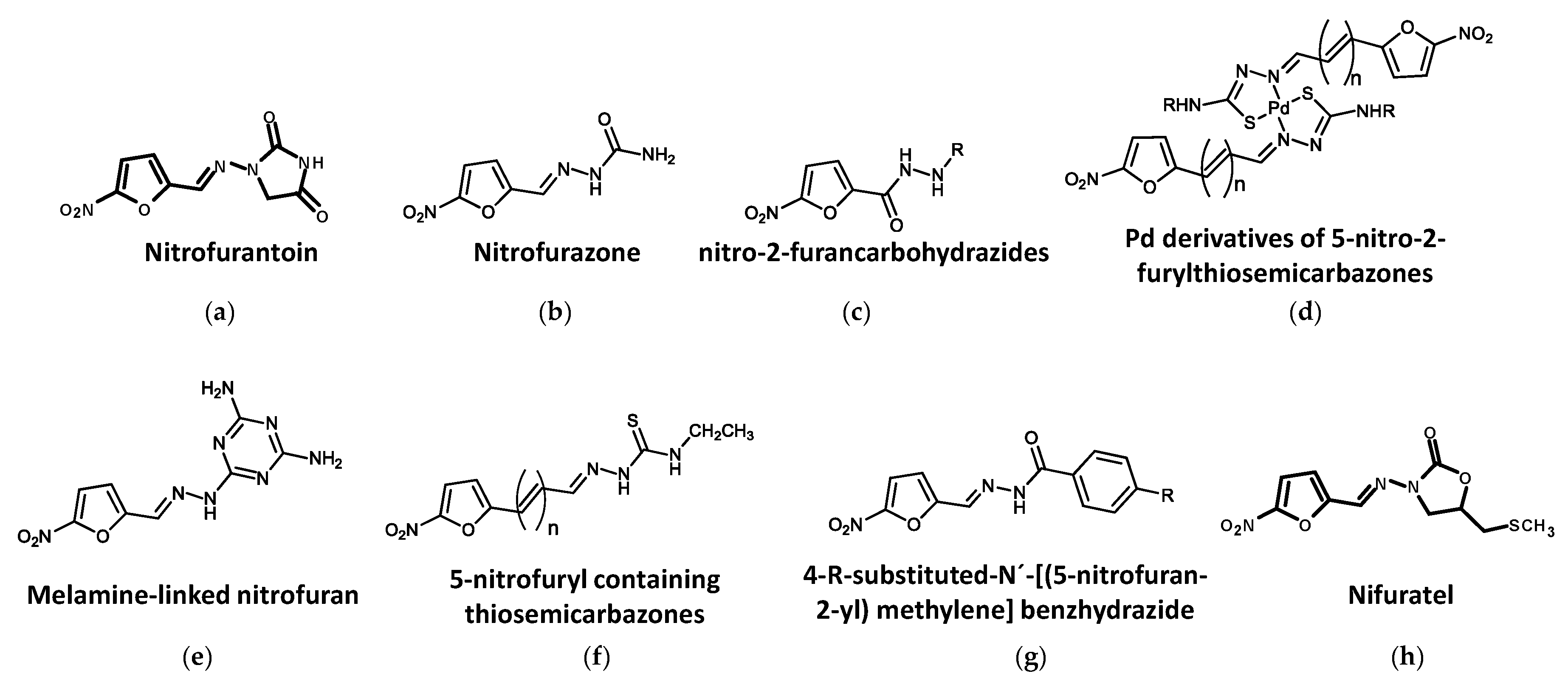 Biomolecules 13 00637 g006