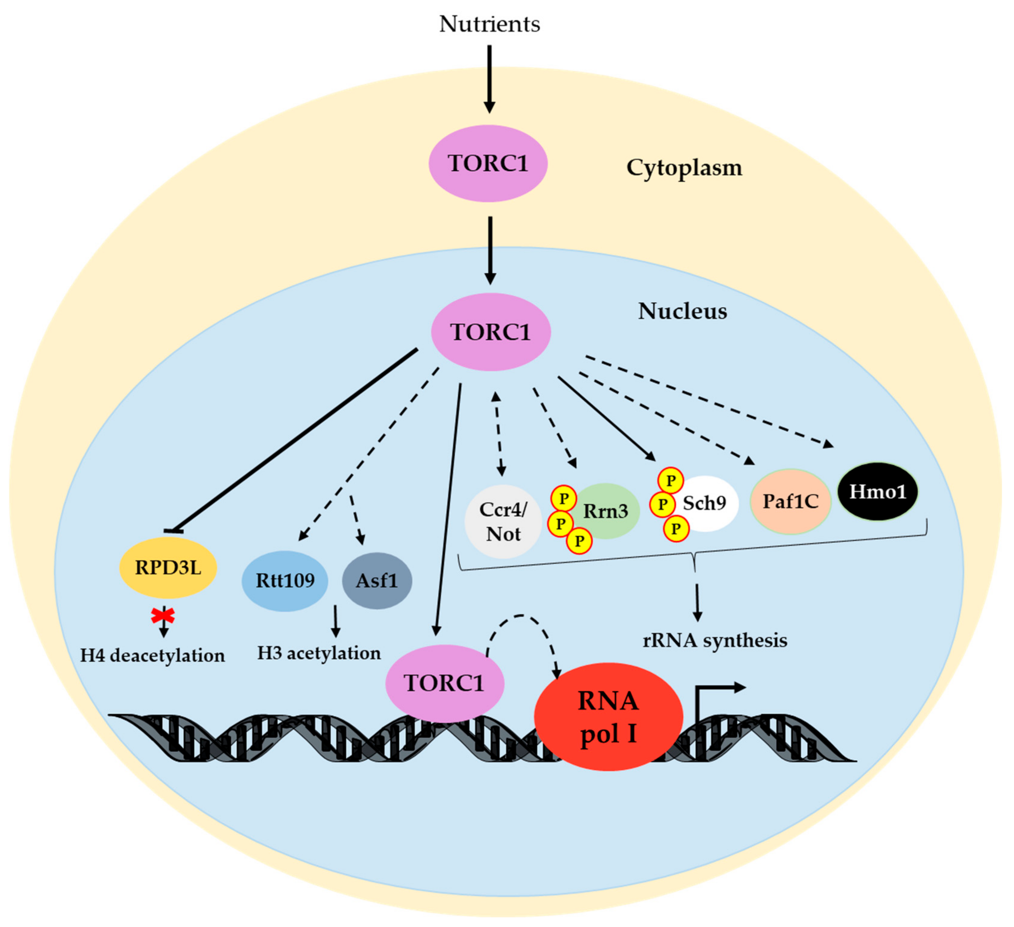 Biomolecules 13 00642 g001