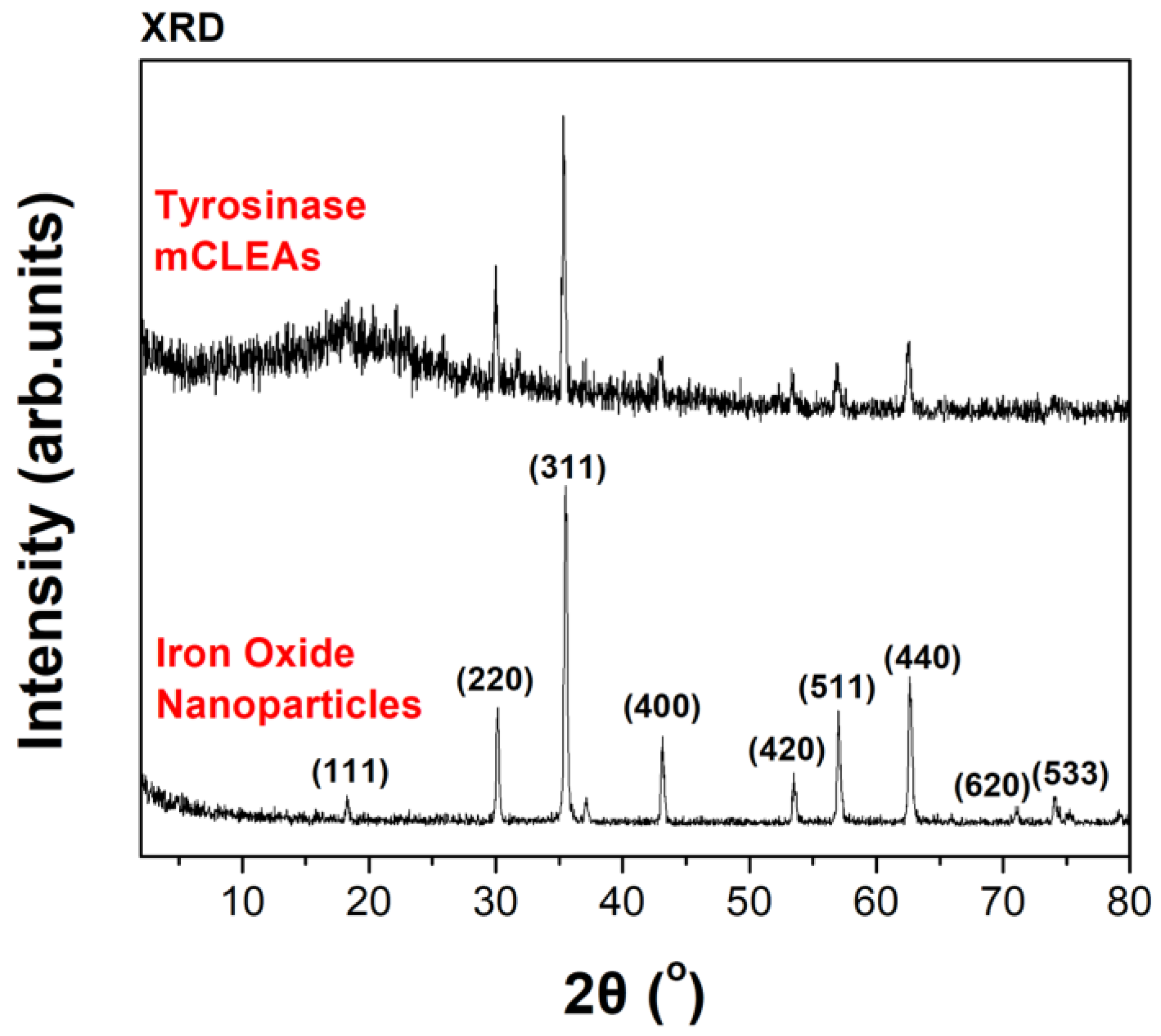 Biomolecules 13 00643 g003
