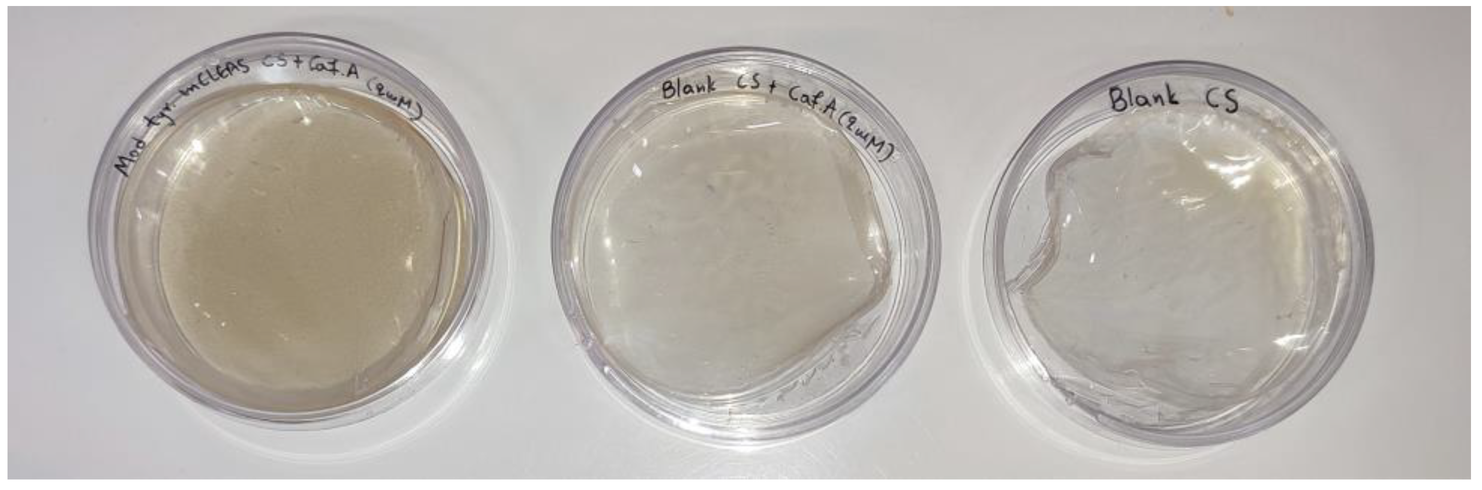 Biomolecules 13 00643 g009
