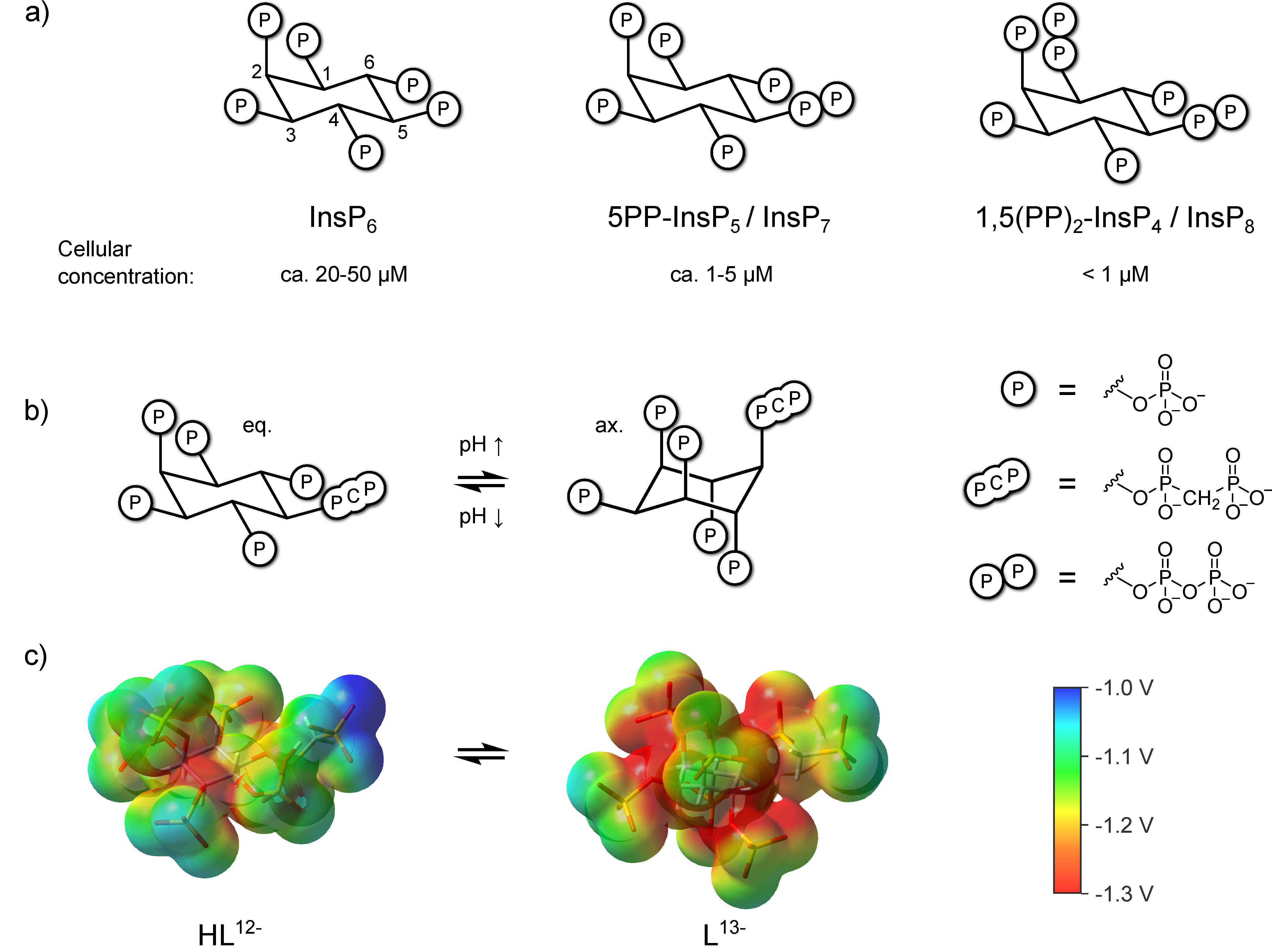 Biomolecules 13 00645 g001