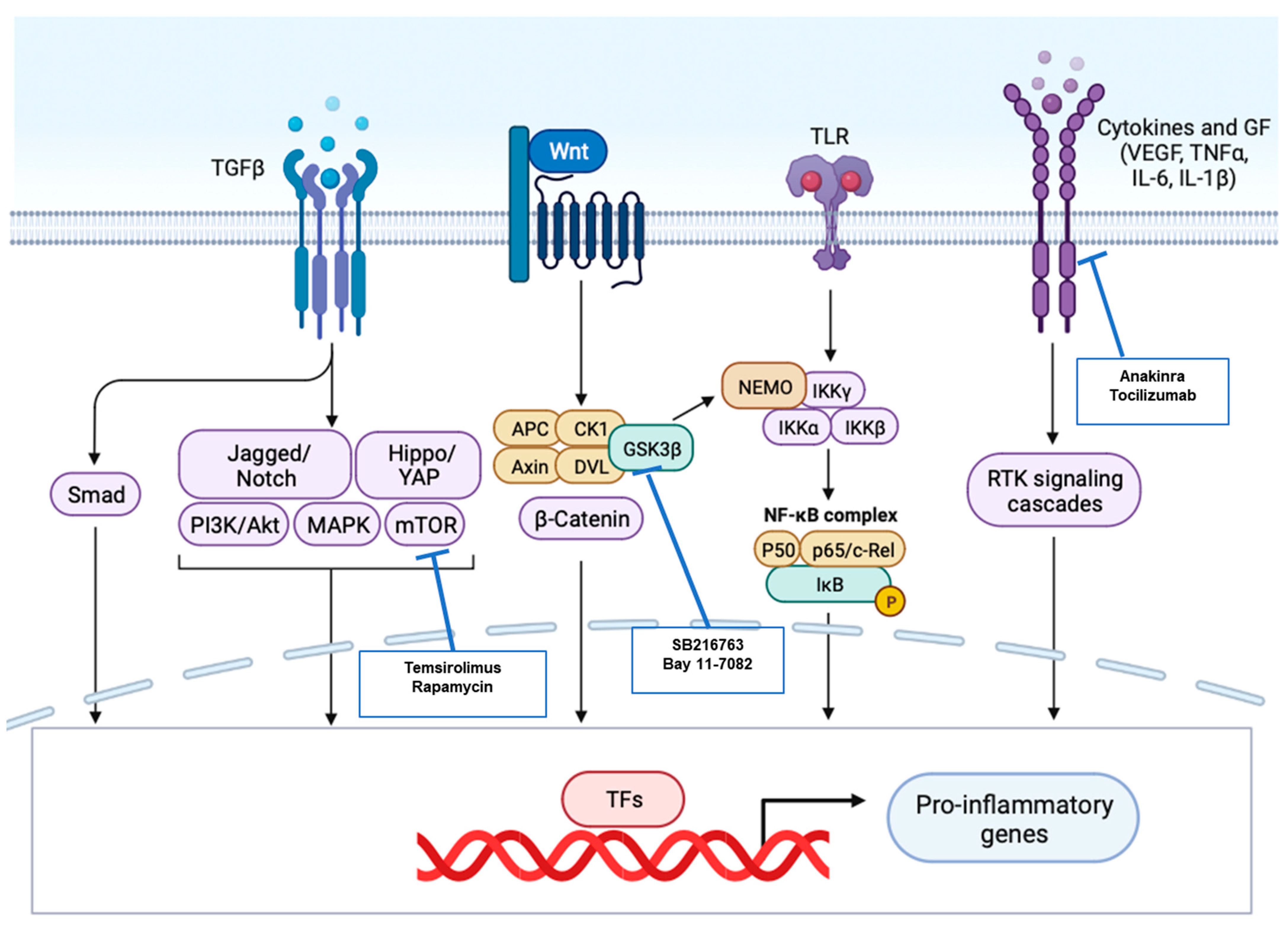 Biomolecules 13 00646 g006 Biomolecules 13 00646 g006