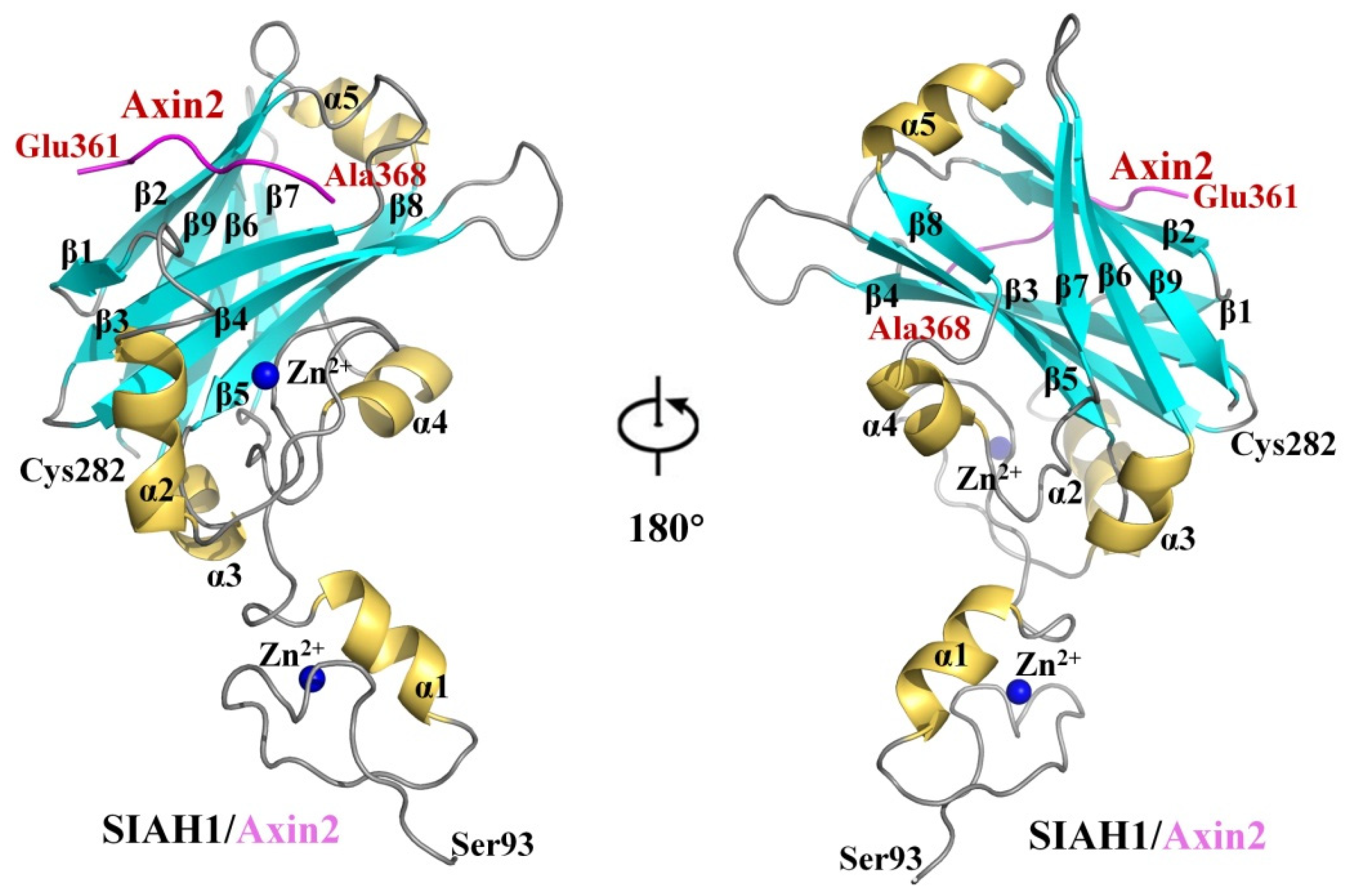 Biomolecules 13 00647 g003