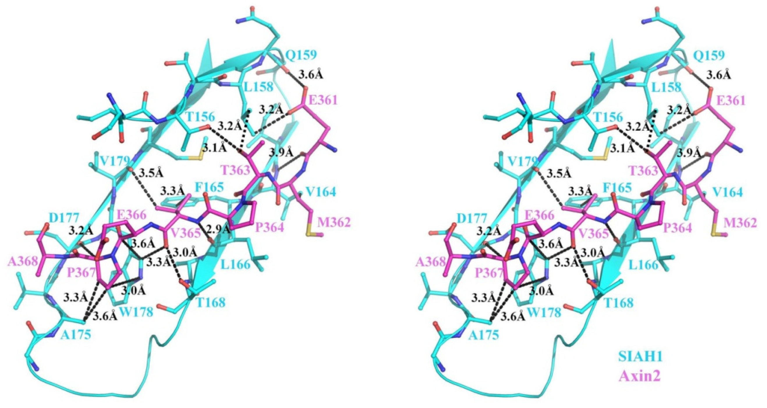 Biomolecules 13 00647 g005