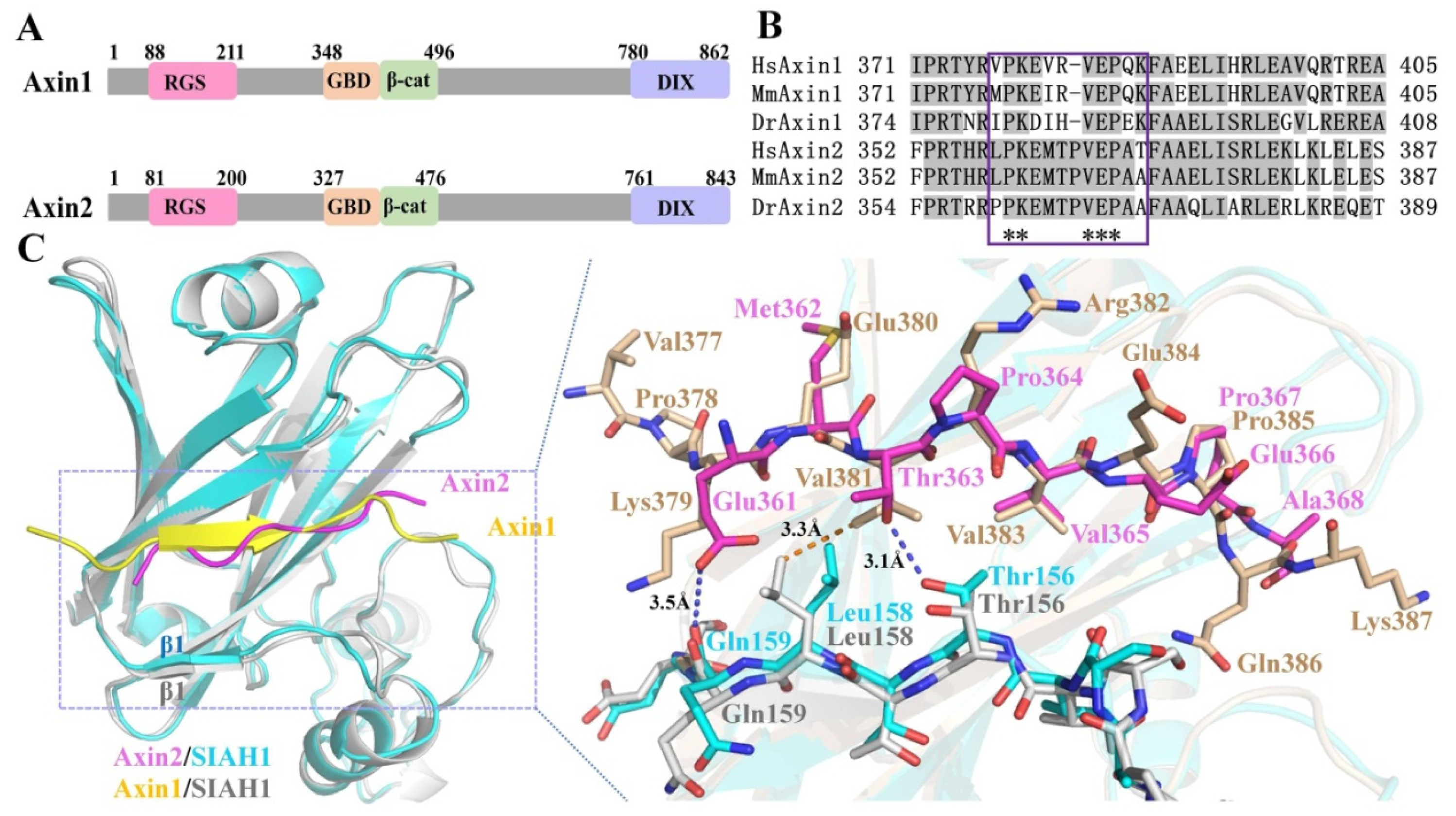 Biomolecules 13 00647 g007