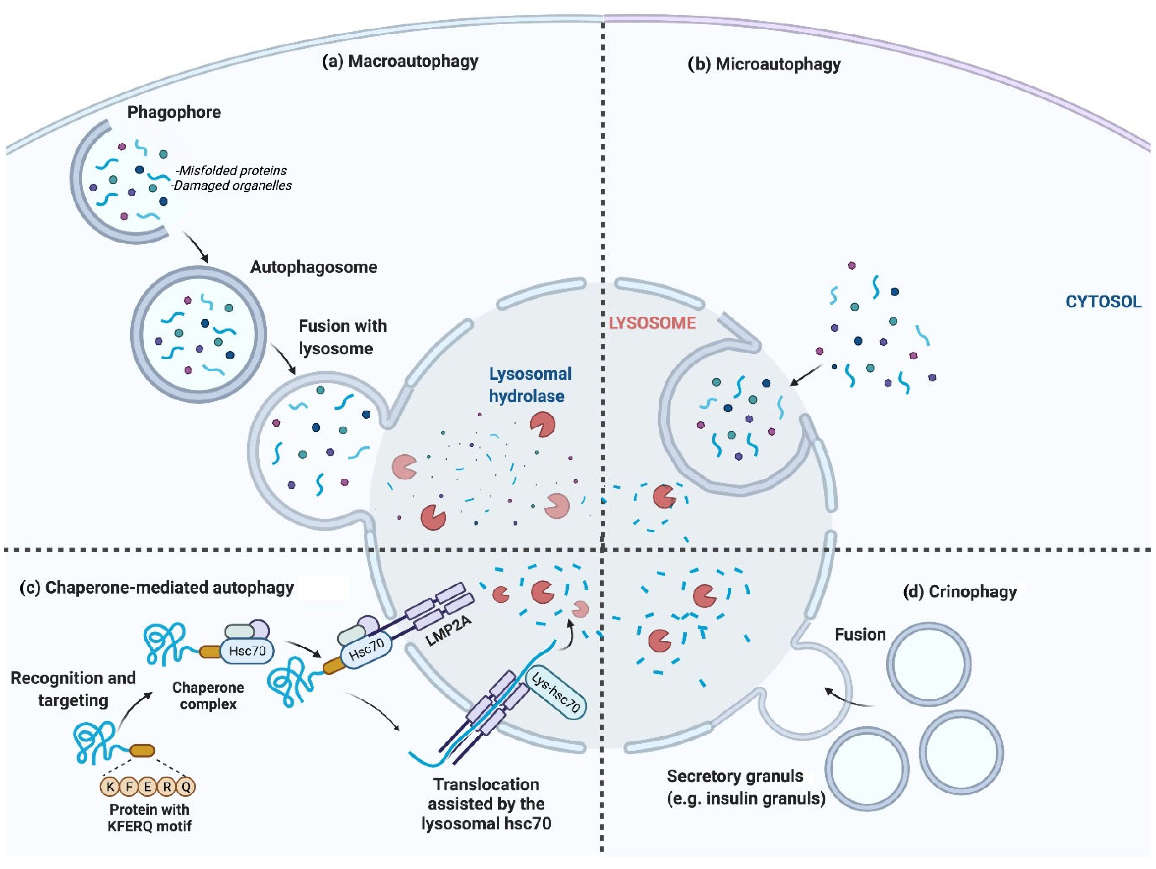 Biomolecules 13 00649 g001