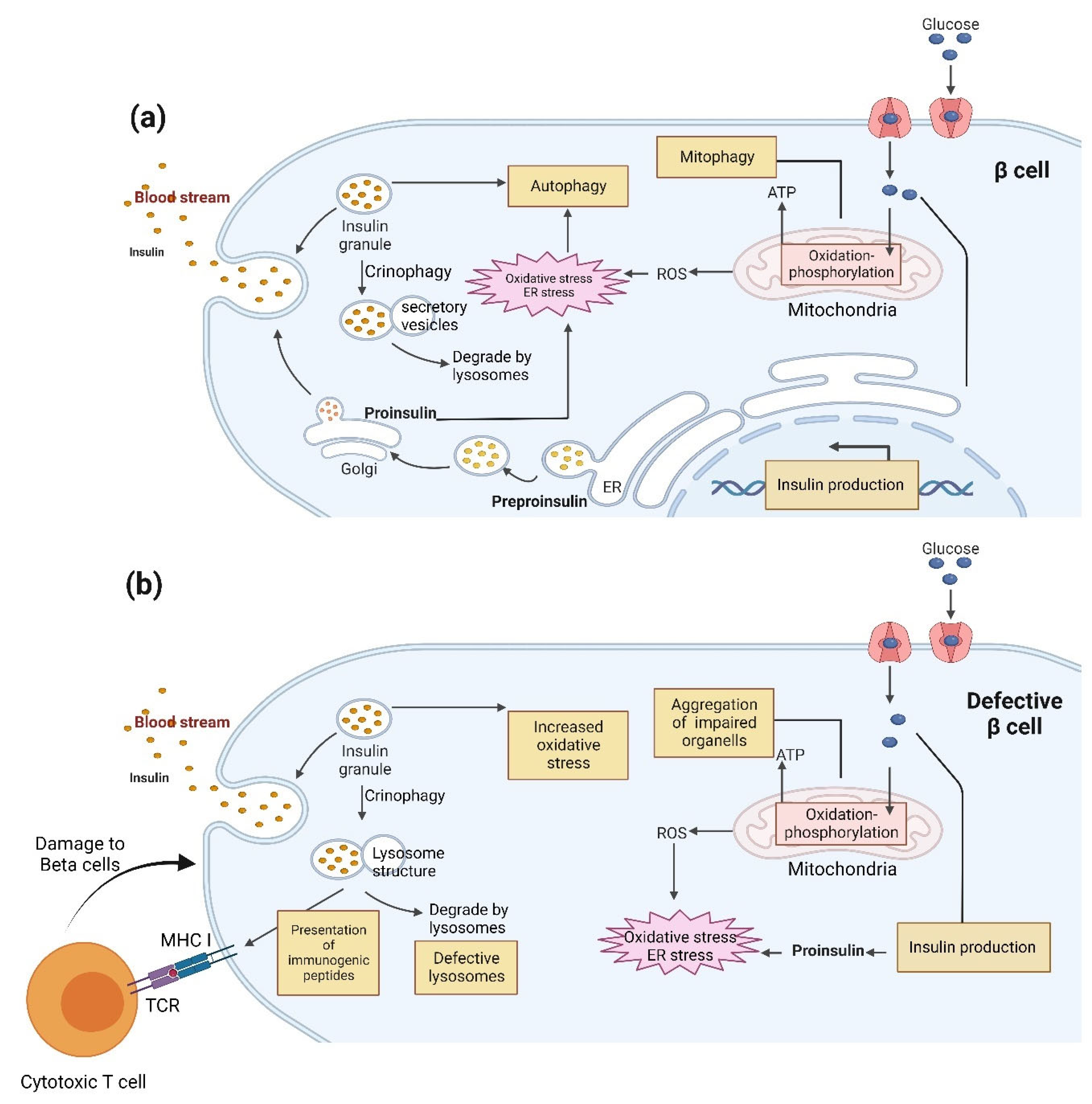 Biomolecules 13 00649 g005