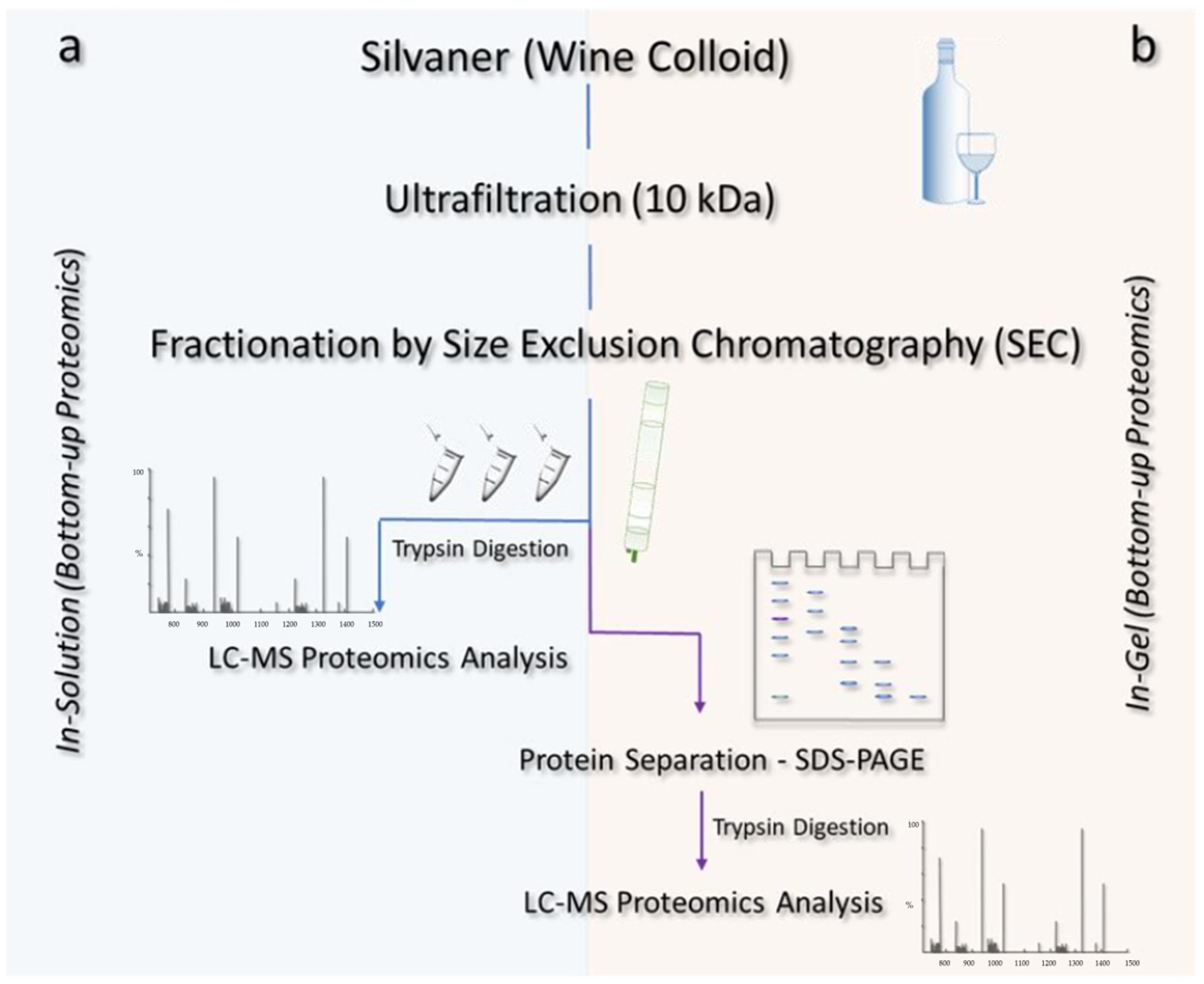 Biomolecules 13 00650 g001 Biomolecules 13 00650 g001