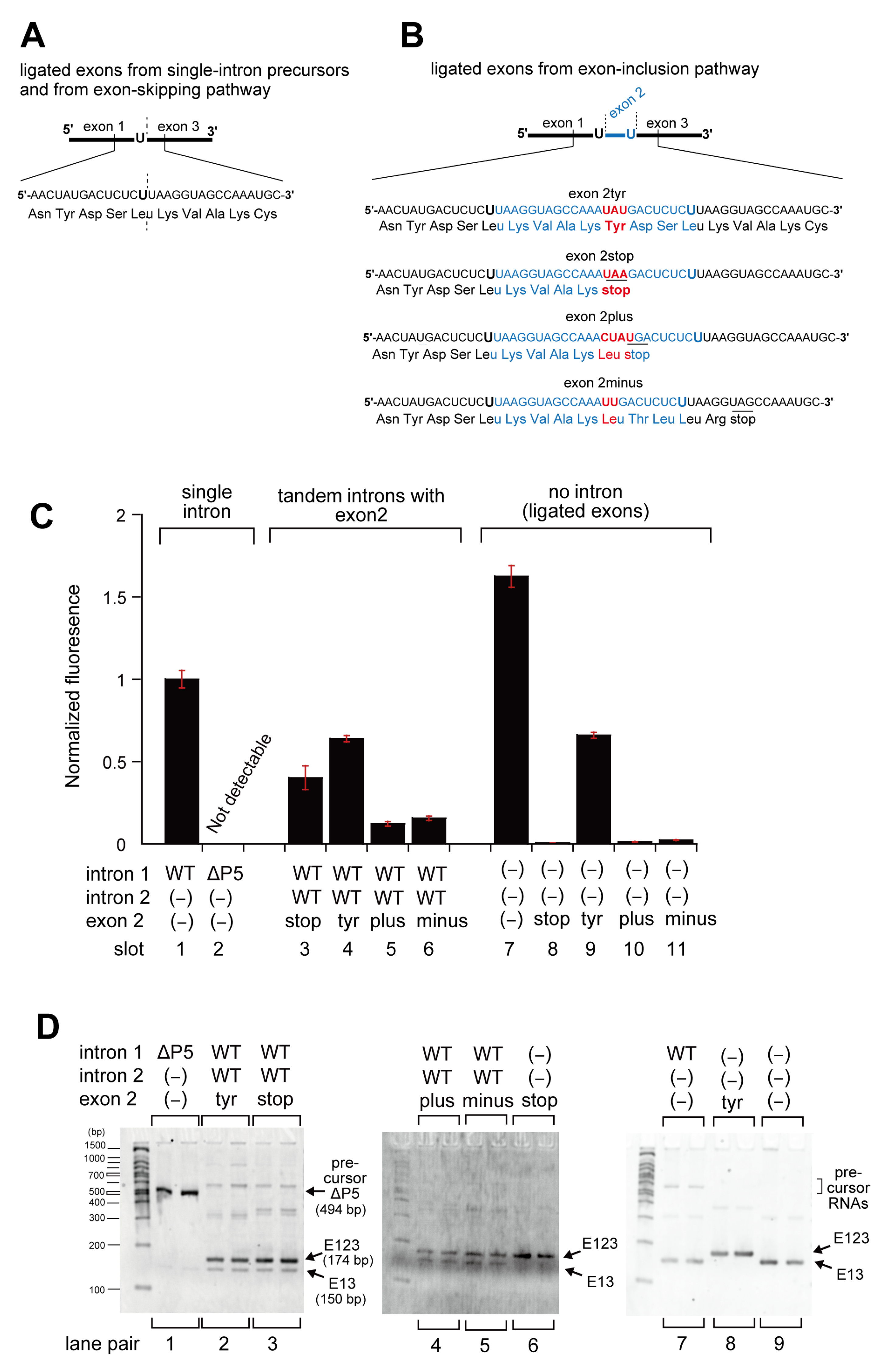 Biomolecules 13 00654 g002