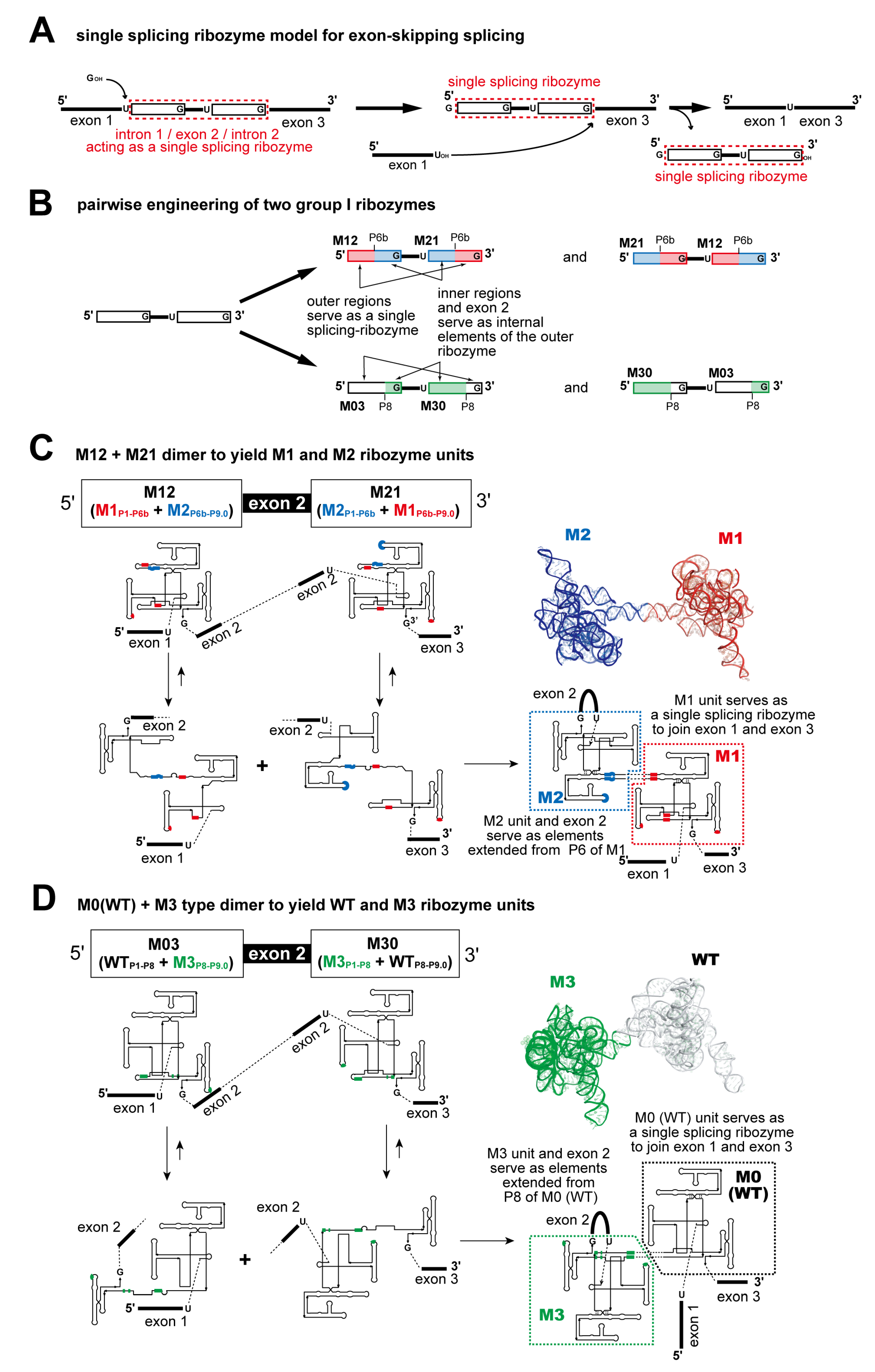 Biomolecules 13 00654 g003