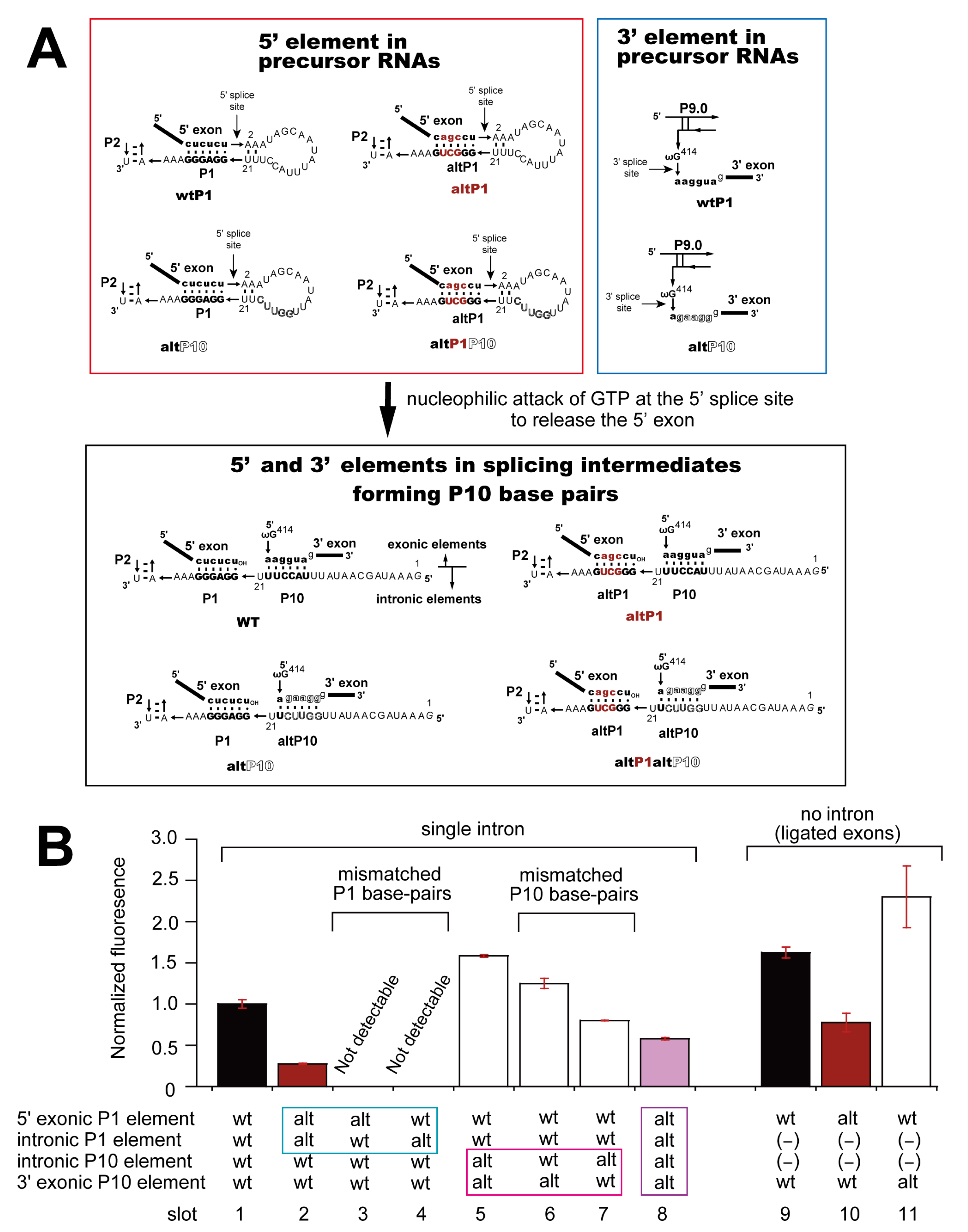 Biomolecules 13 00654 g007