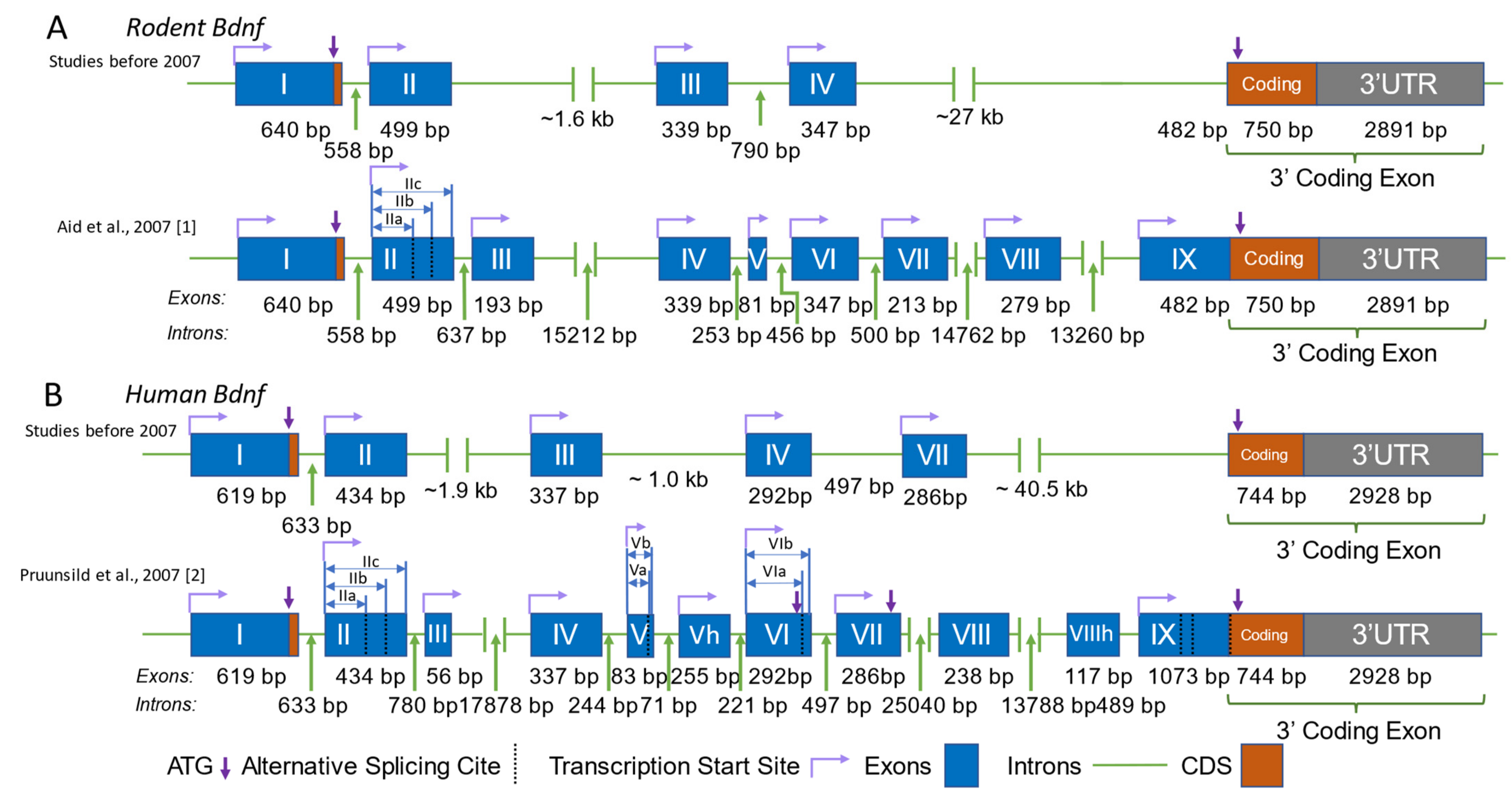 Biomolecules 13 00655 g001 Biomolecules 13 00655 g001
