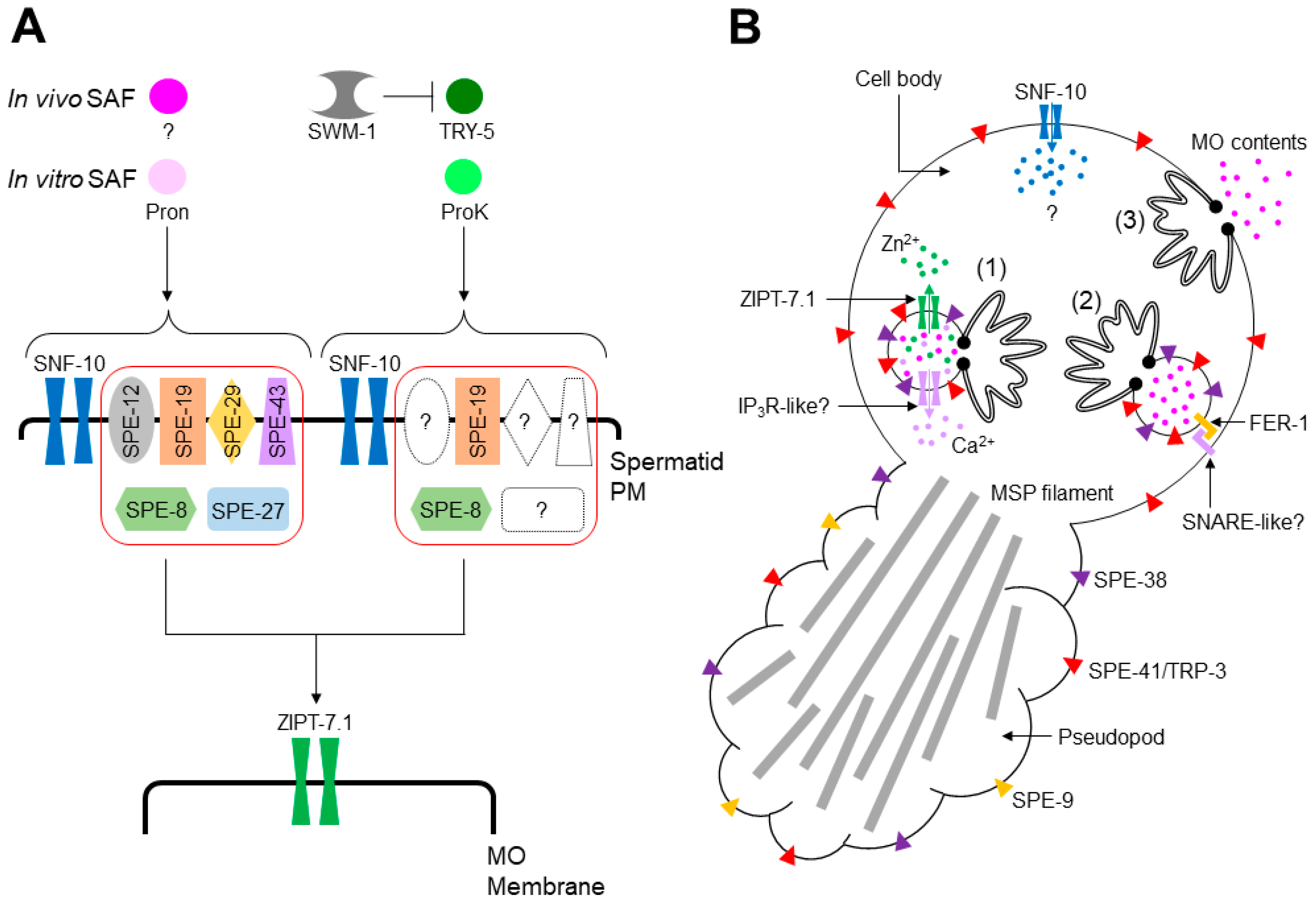 Biomolecules 13 00657 g003 Biomolecules 13 00657 g003