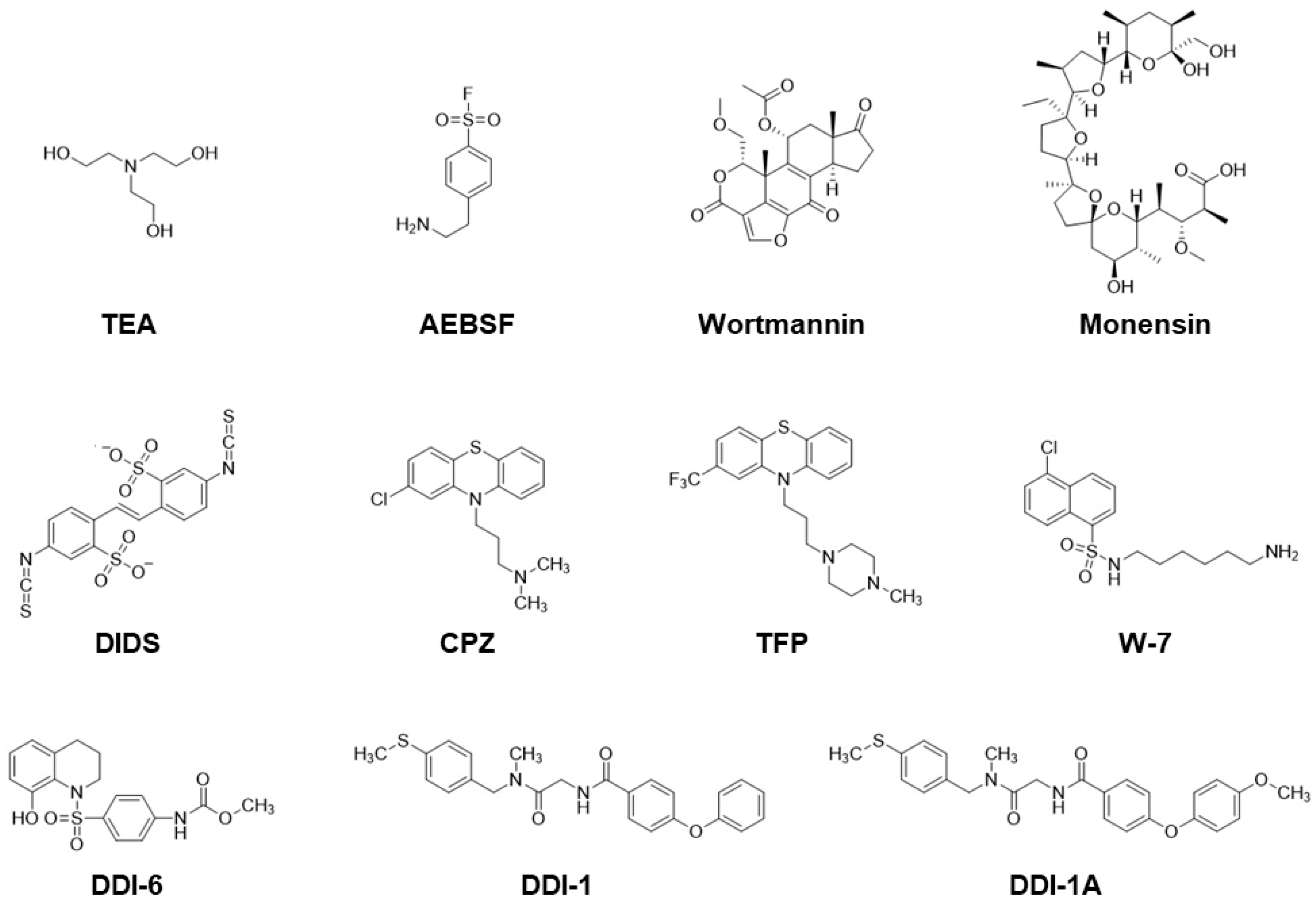 Biomolecules 13 00657 g004 Biomolecules 13 00657 g004