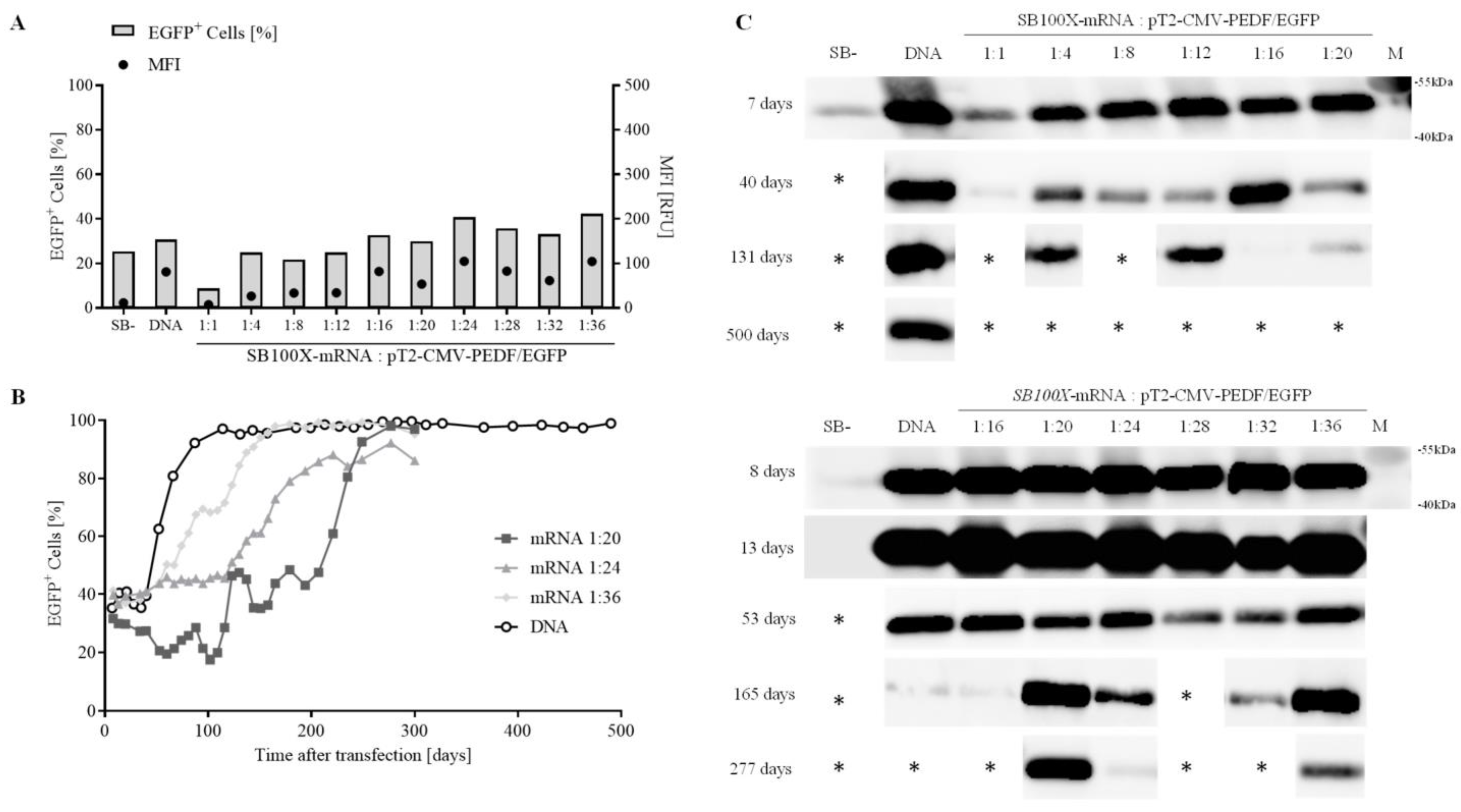 Biomolecules 13 00658 g004 Biomolecules 13 00658 g004
