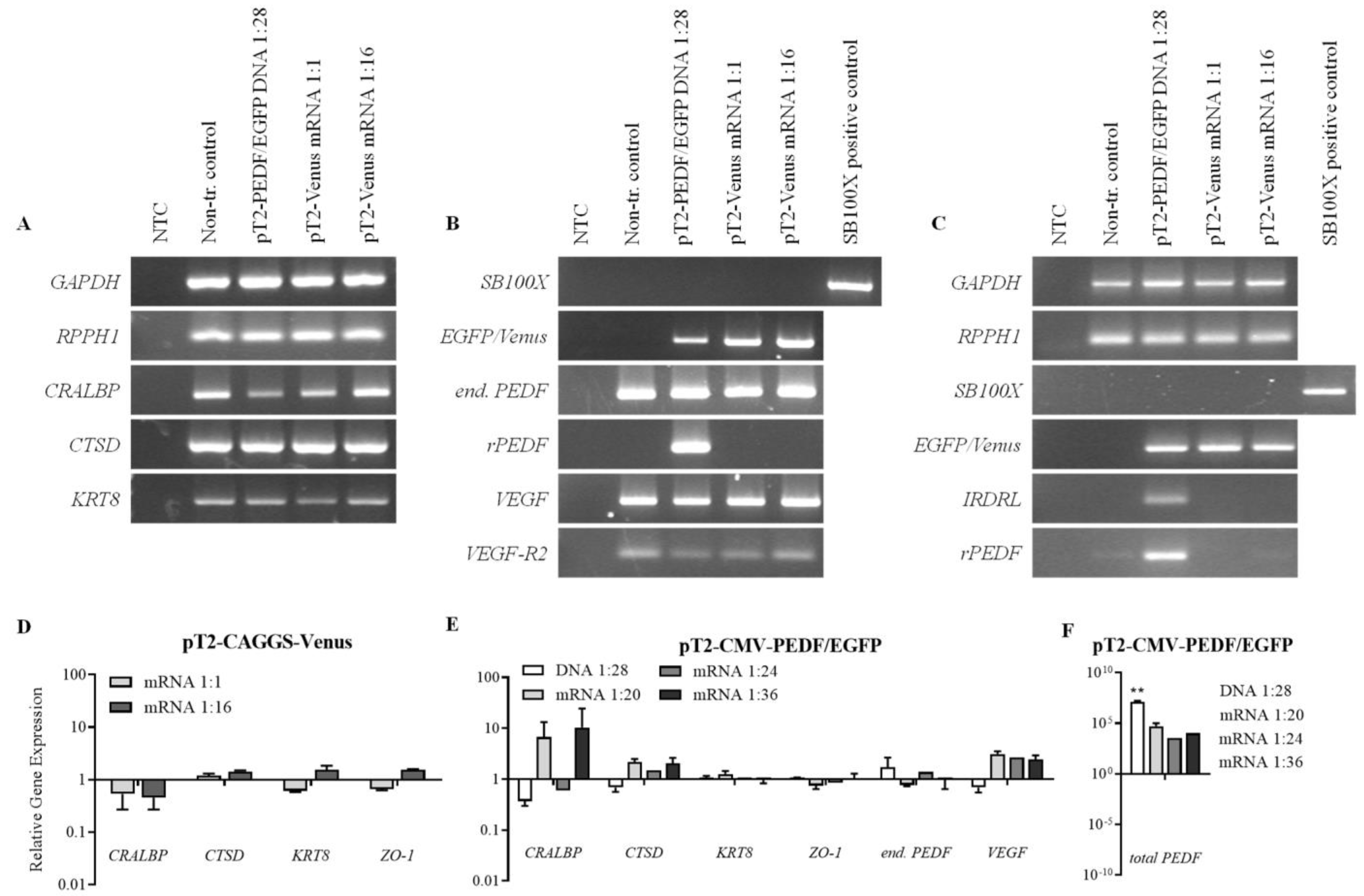 Biomolecules 13 00658 g005 Biomolecules 13 00658 g005
