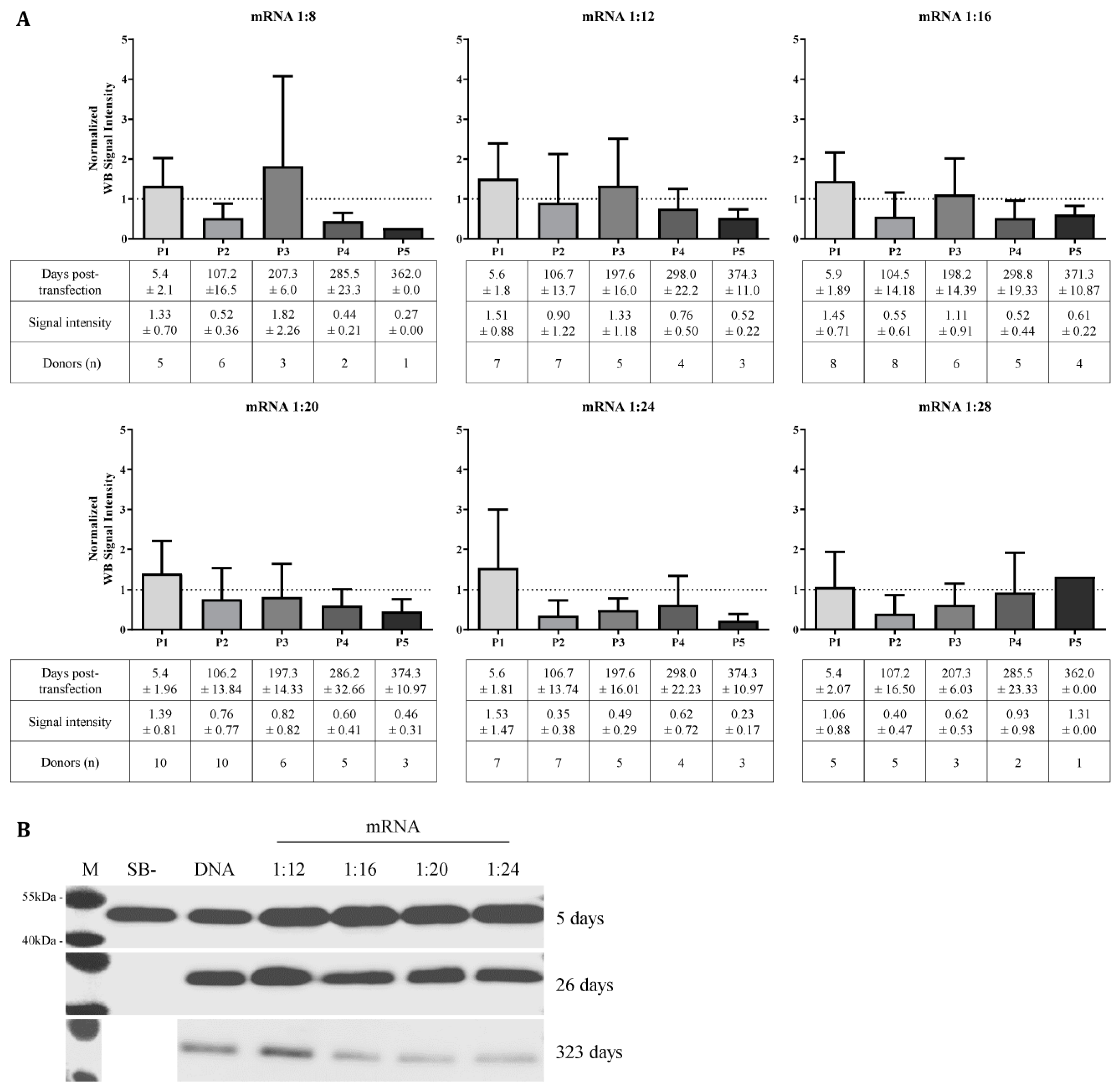 Biomolecules 13 00658 g007 Biomolecules 13 00658 g007