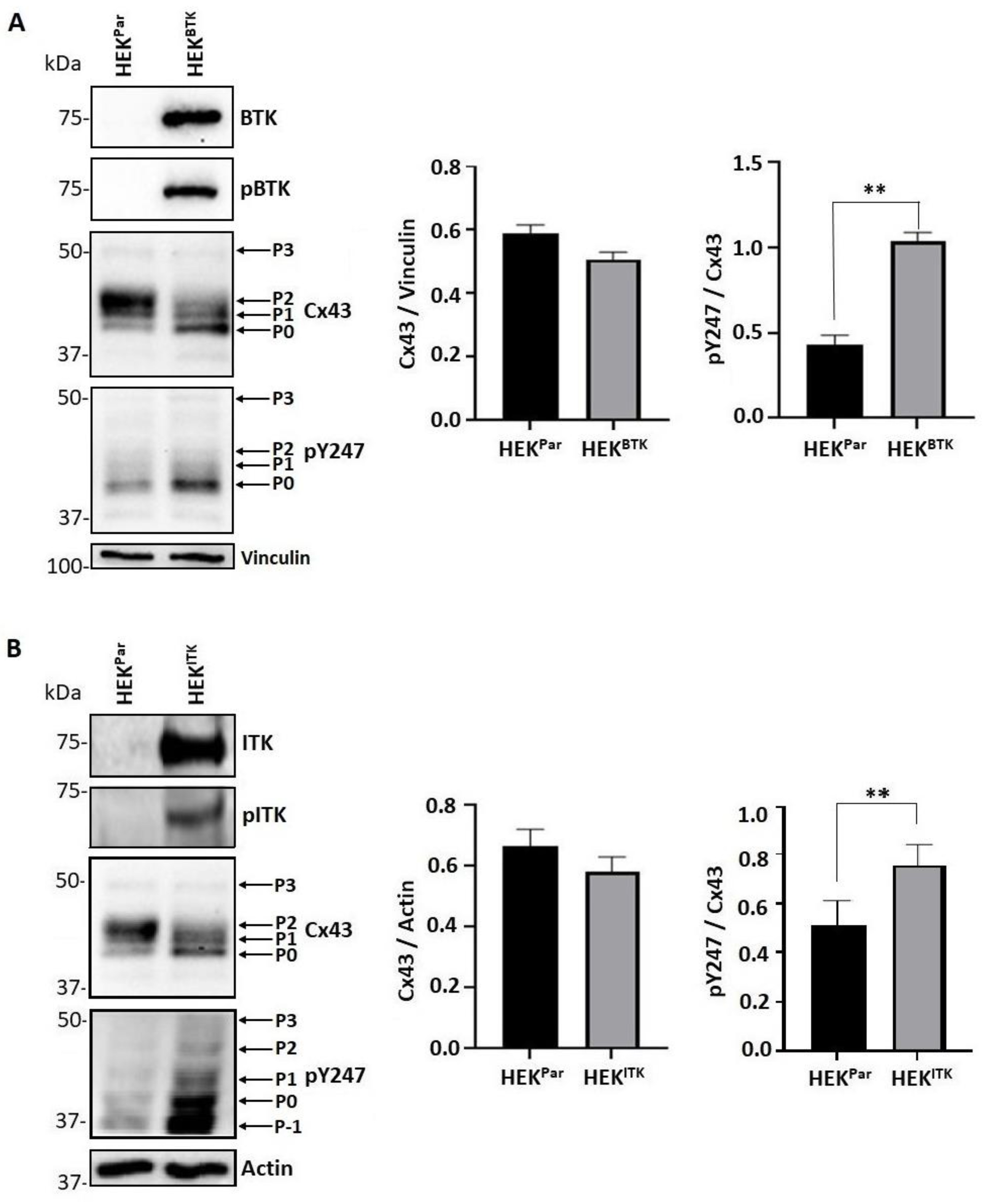 Biomolecules 13 00660 g003 Biomolecules 13 00660 g003