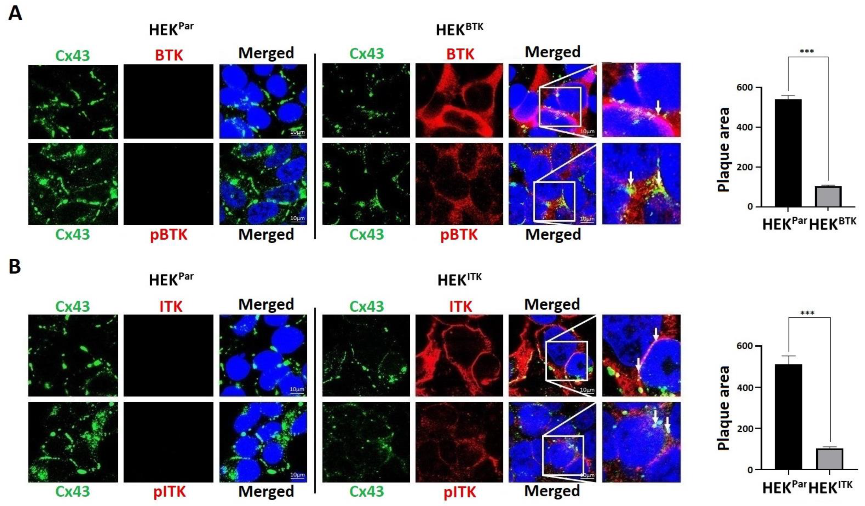 Biomolecules 13 00660 g004 Biomolecules 13 00660 g004