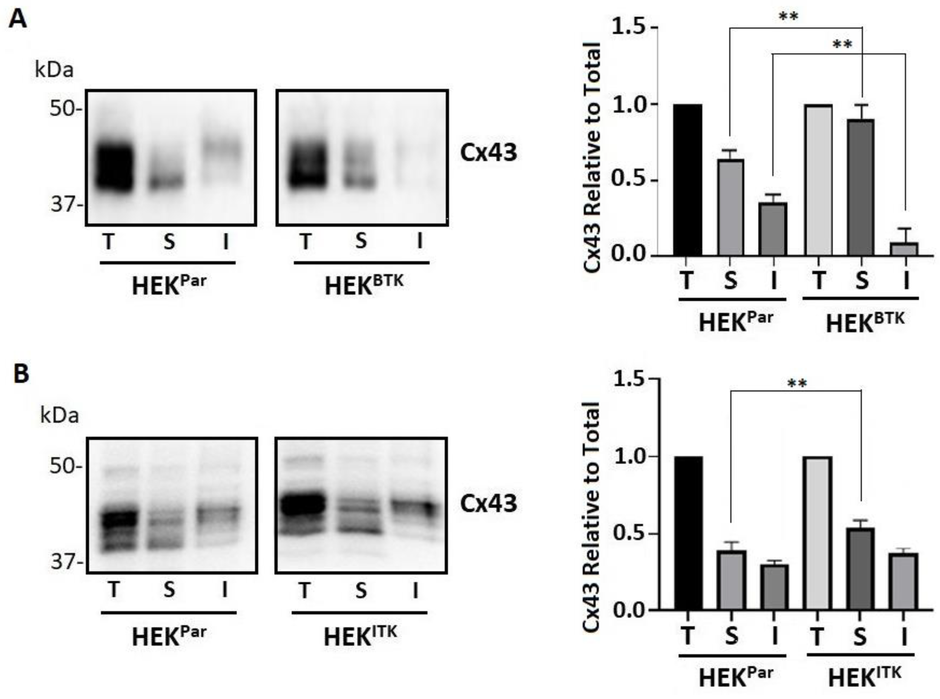 Biomolecules 13 00660 g005 Biomolecules 13 00660 g005