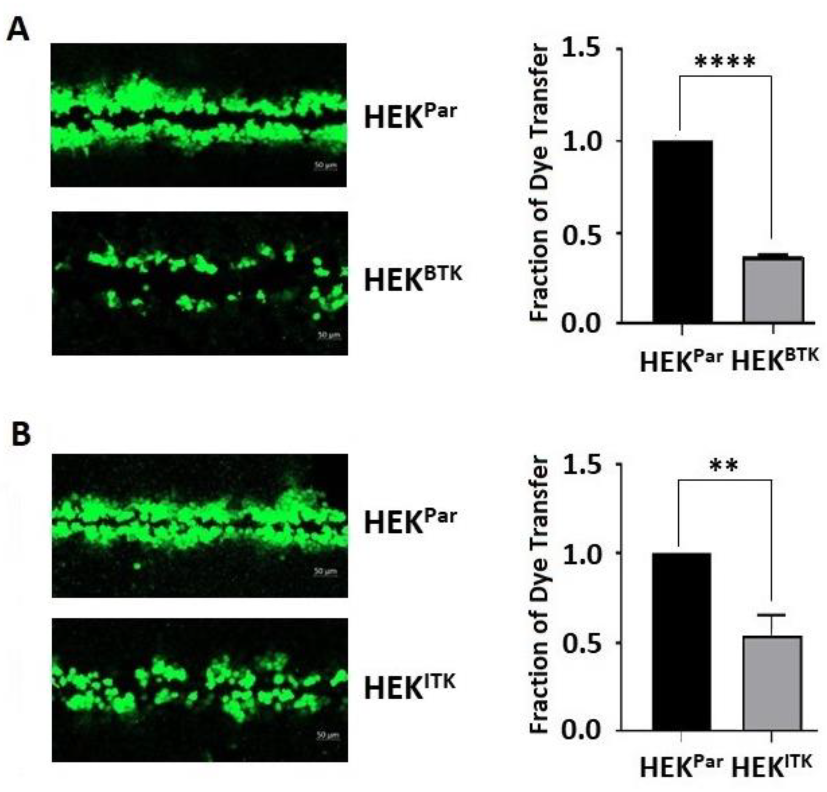 Biomolecules 13 00660 g006 Biomolecules 13 00660 g006
