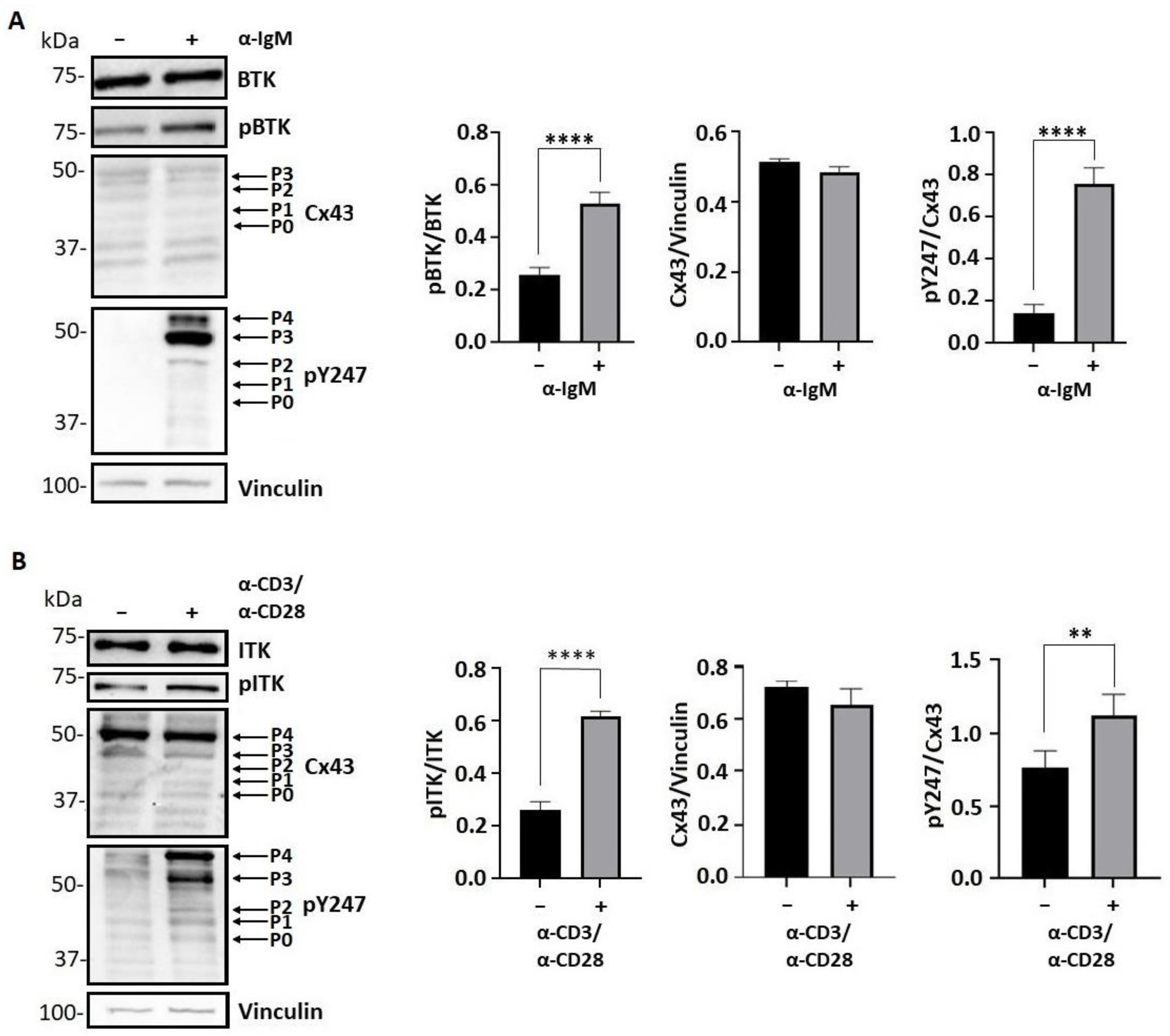 Biomolecules 13 00660 g007 Biomolecules 13 00660 g007