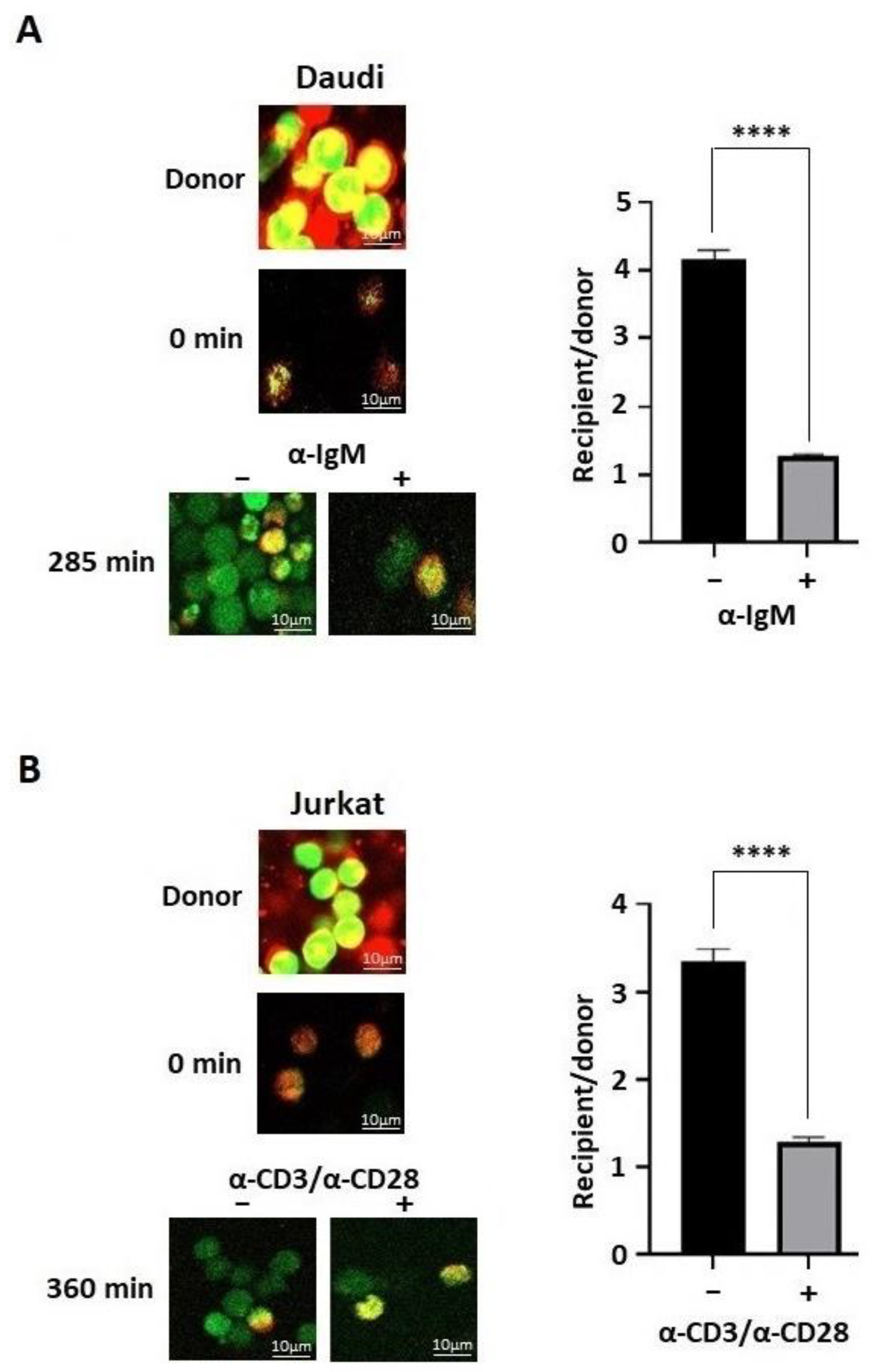 Biomolecules 13 00660 g009 Biomolecules 13 00660 g009