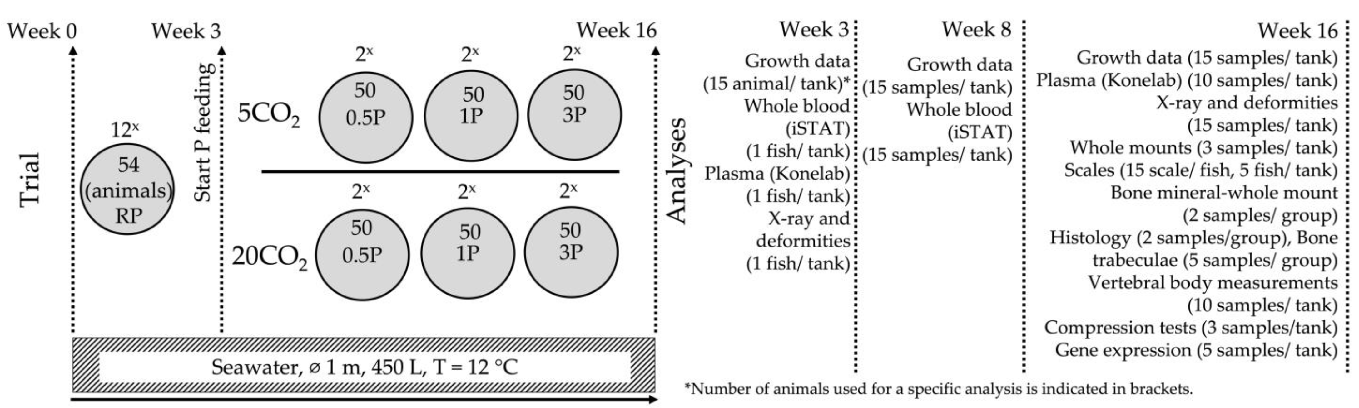 Biomolecules 13 00663 g001