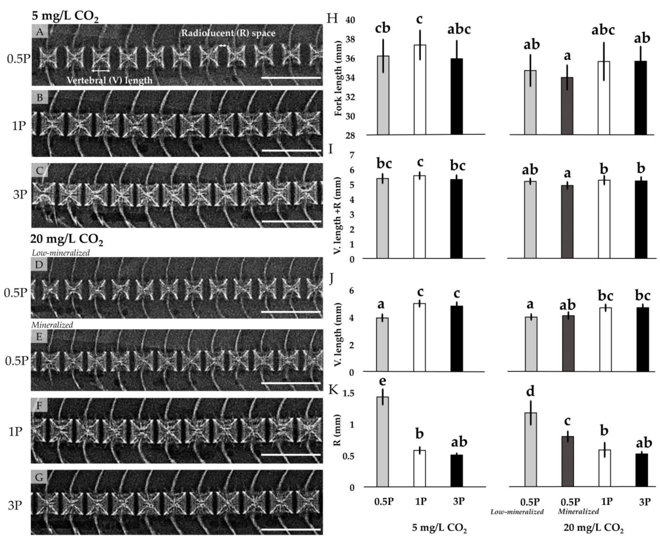 Biomolecules 13 00663 g004