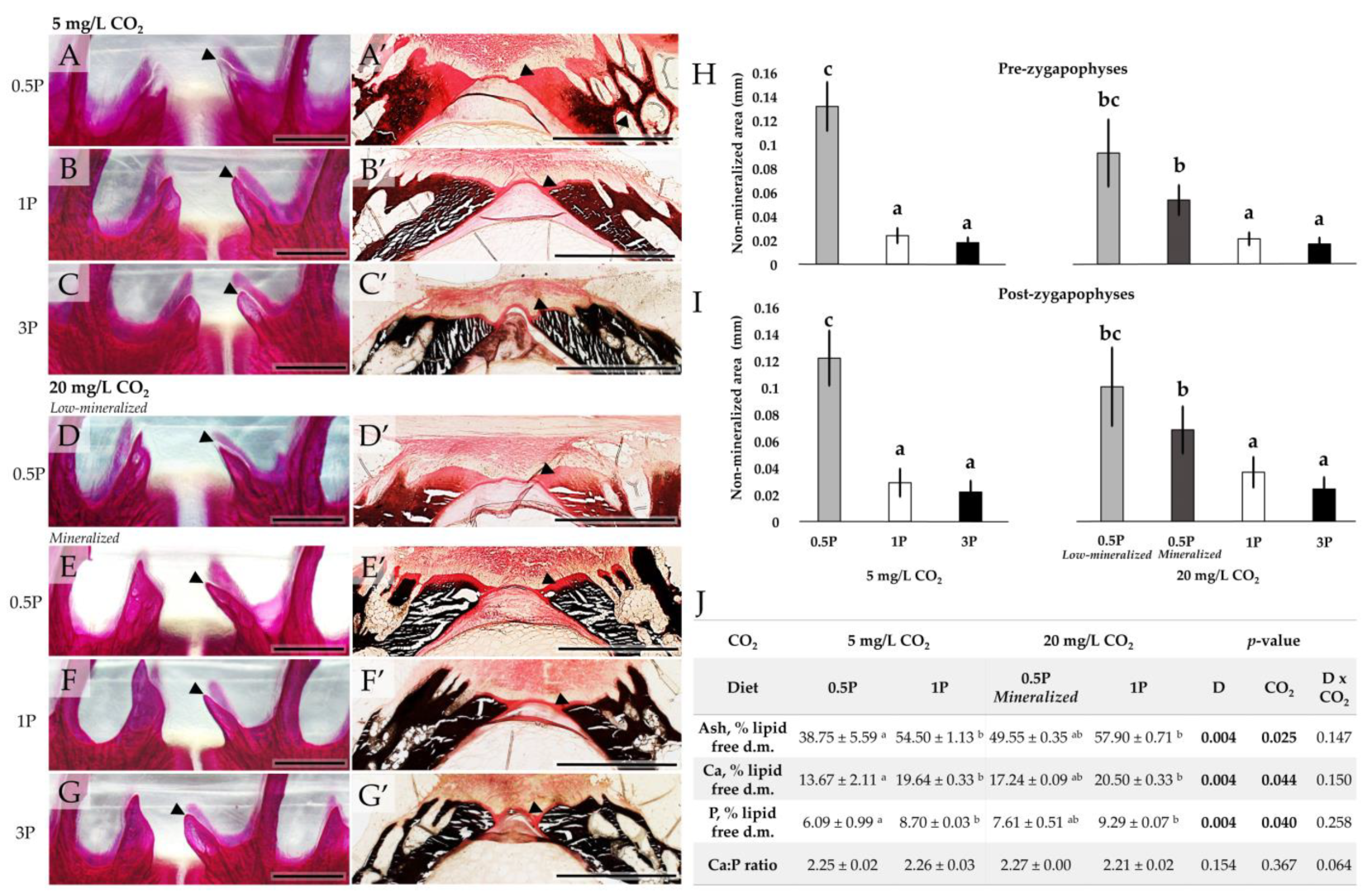 Biomolecules 13 00663 g006