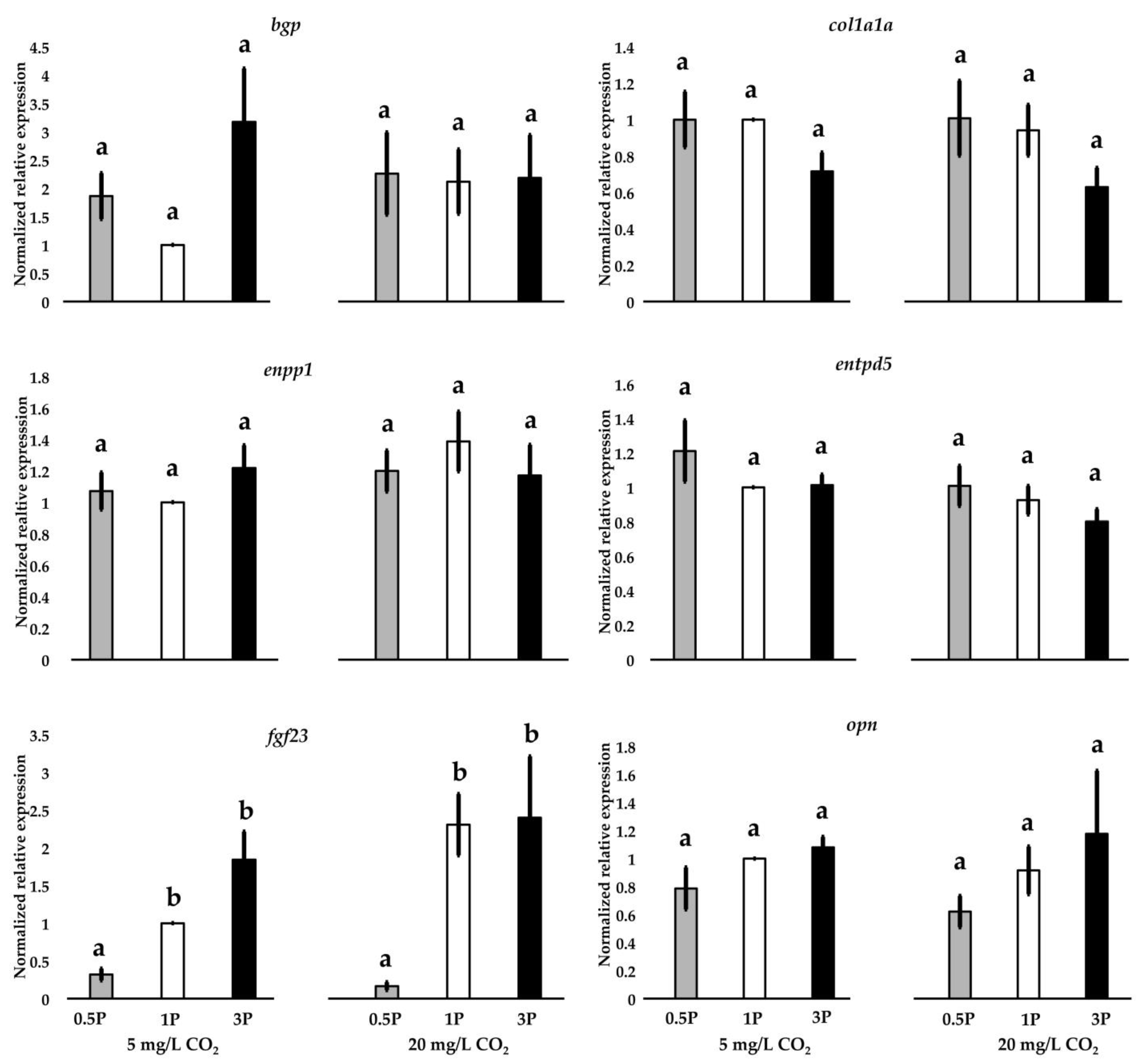 Biomolecules 13 00663 g008