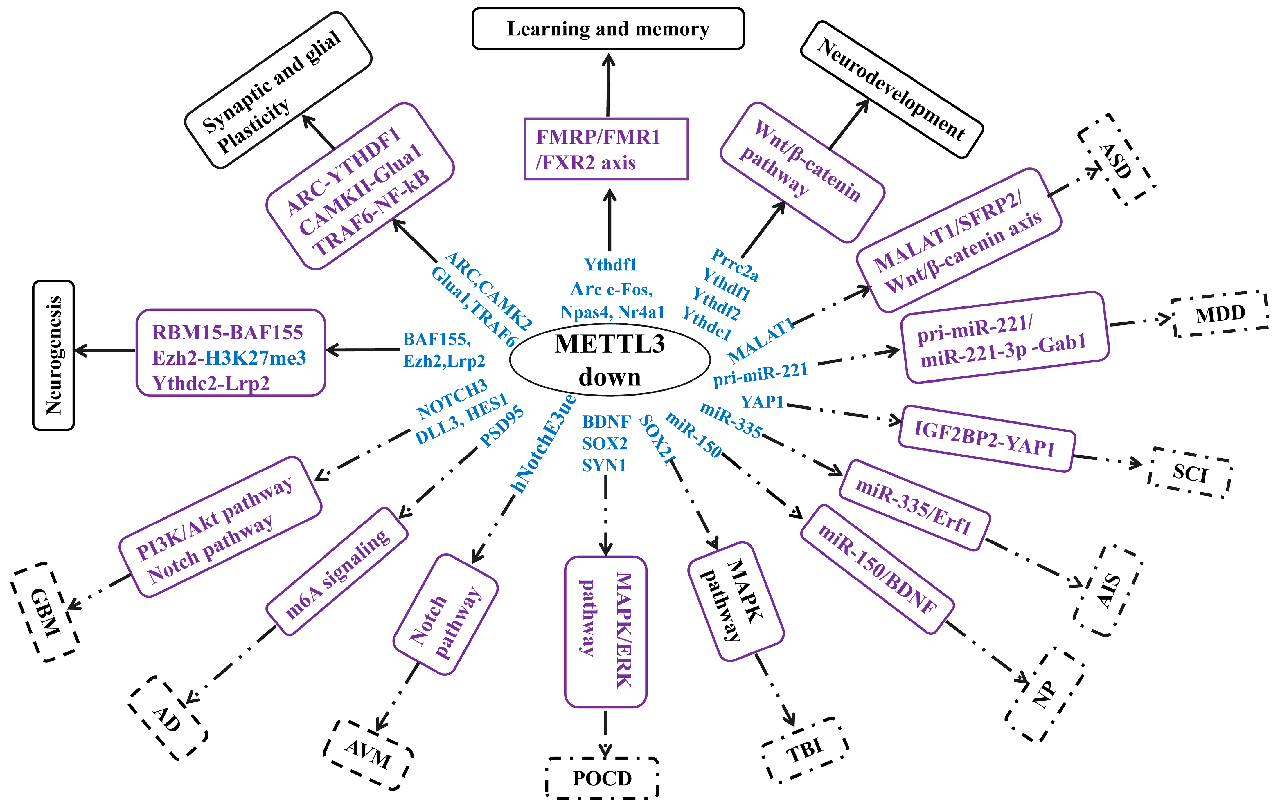 Biomolecules 13 00664 g002