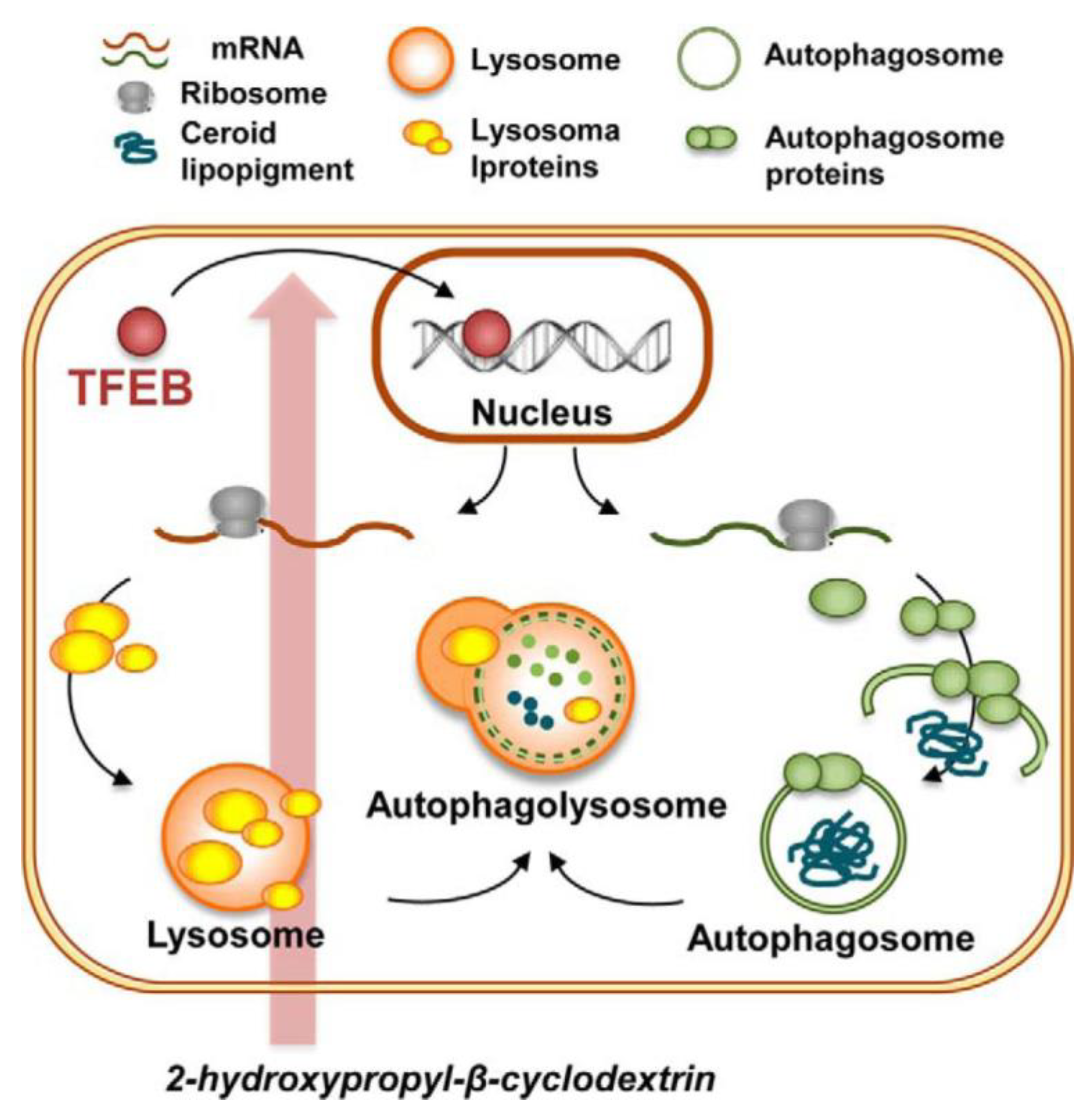 Biomolecules 13 00666 g003