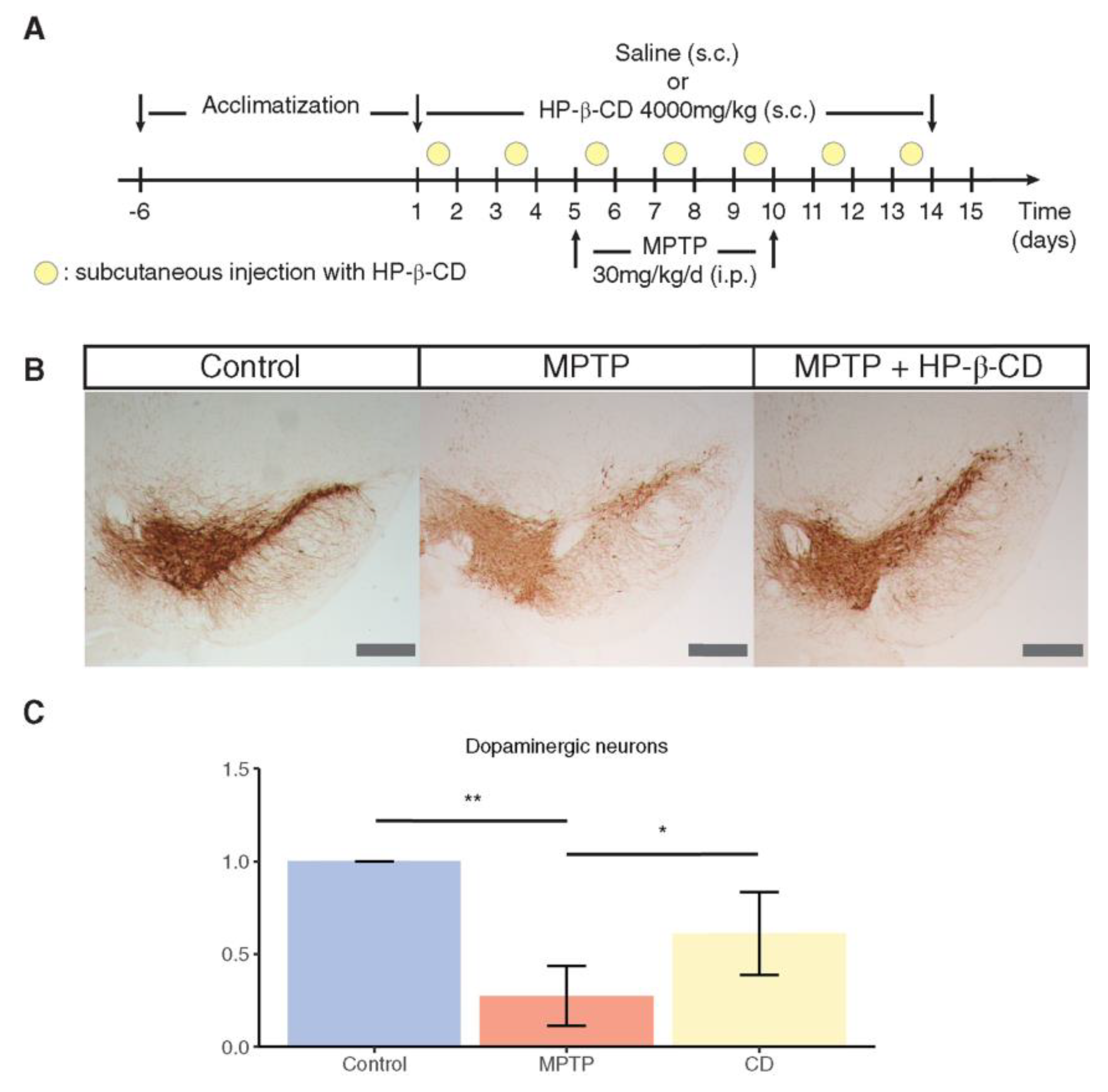 Biomolecules 13 00666 g005