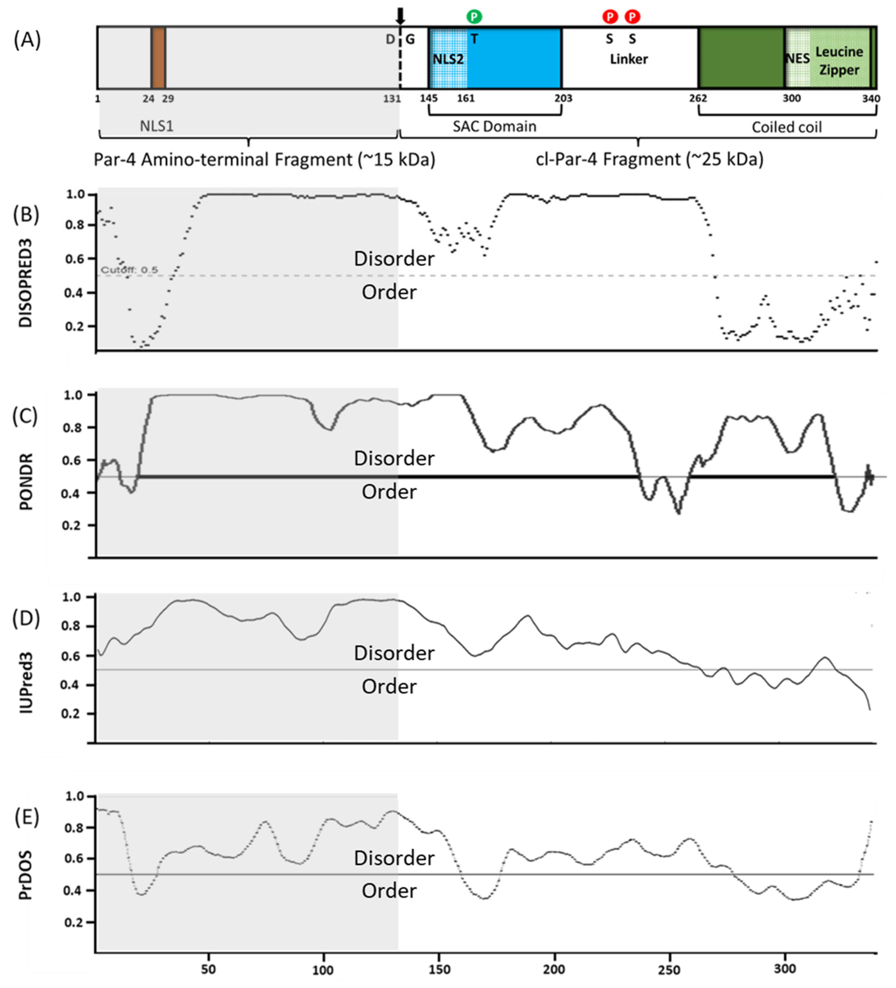 Biomolecules 13 00667 g001
