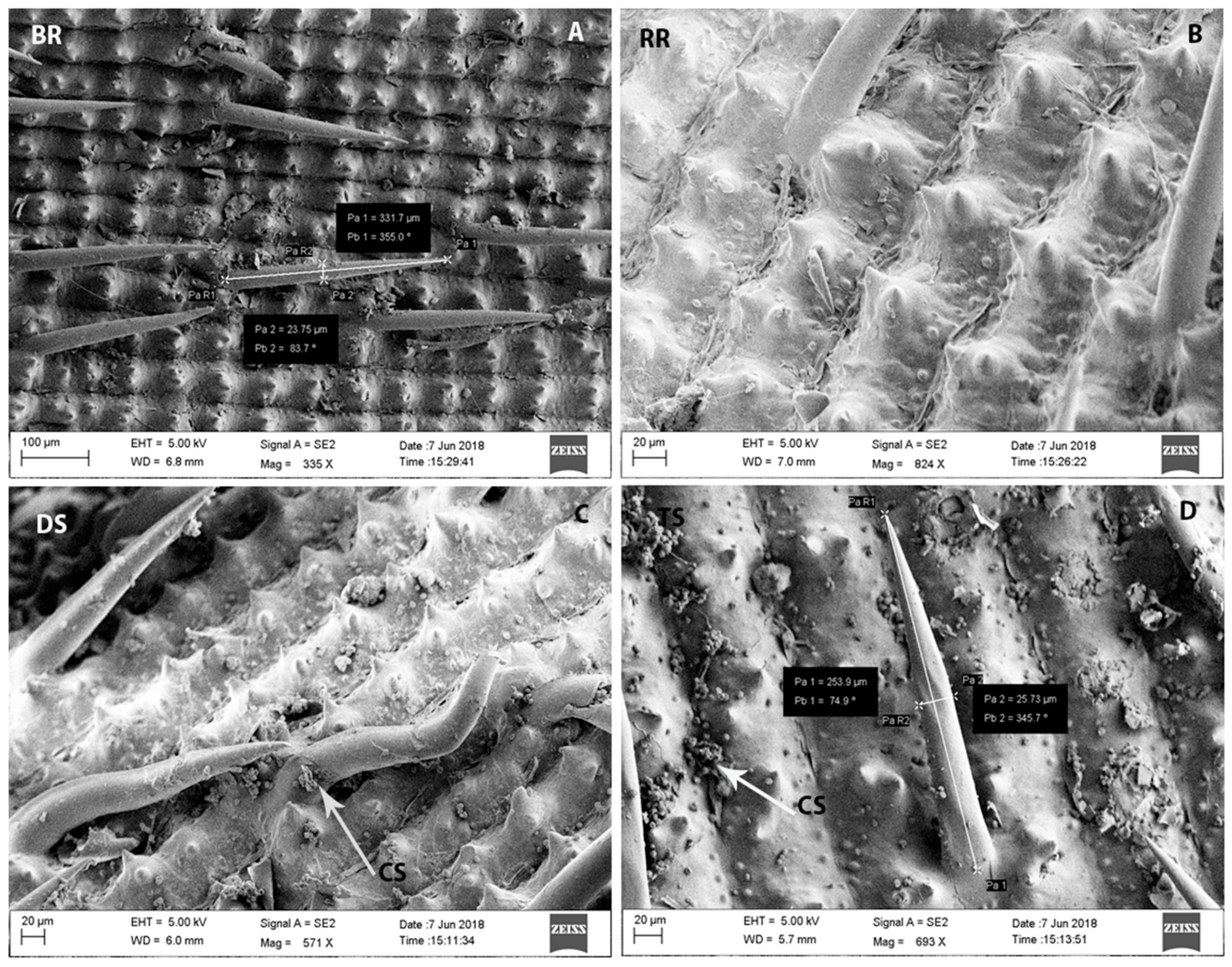 Biomolecules 13 00669 g002