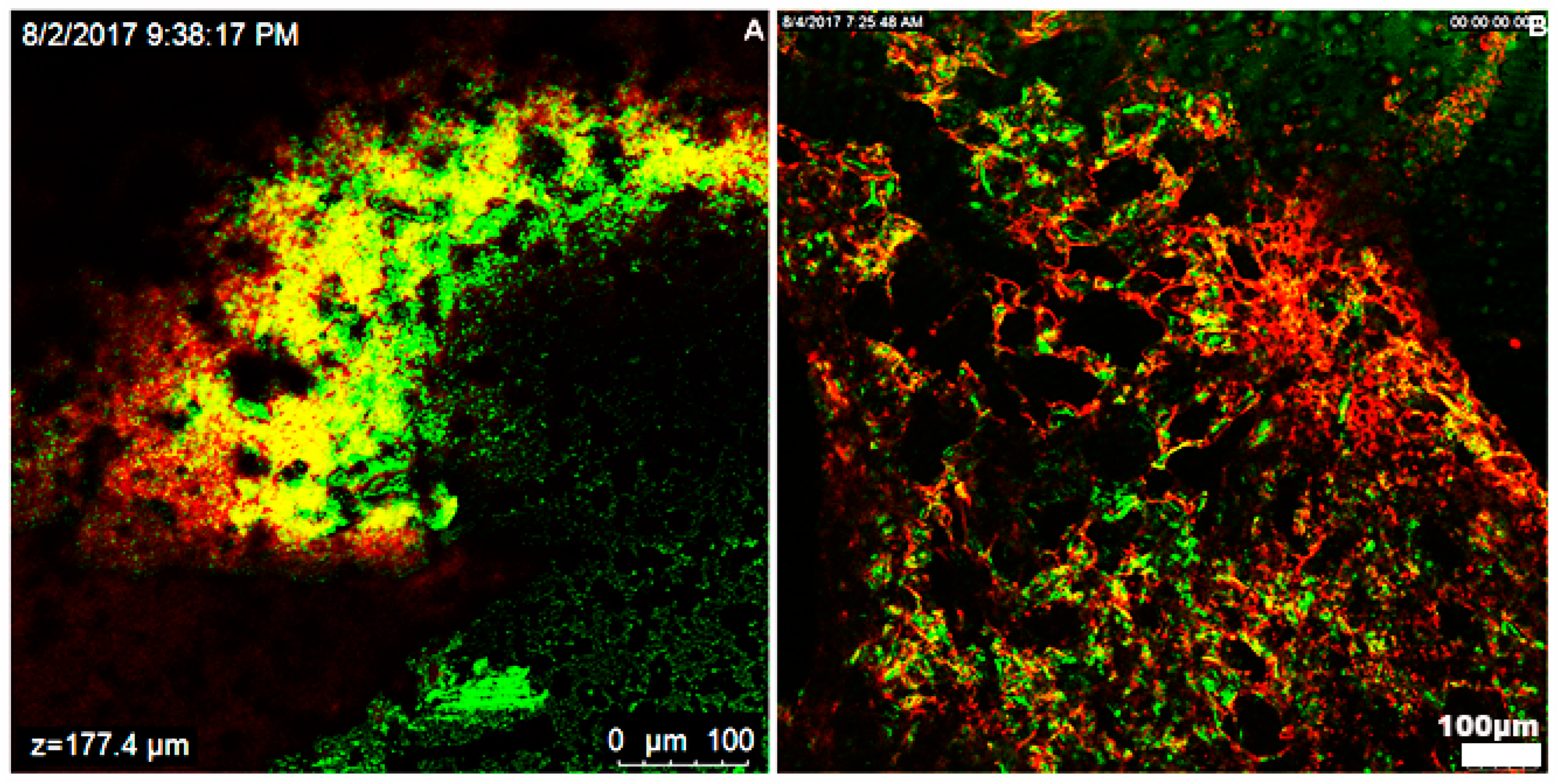 Biomolecules 13 00669 g003
