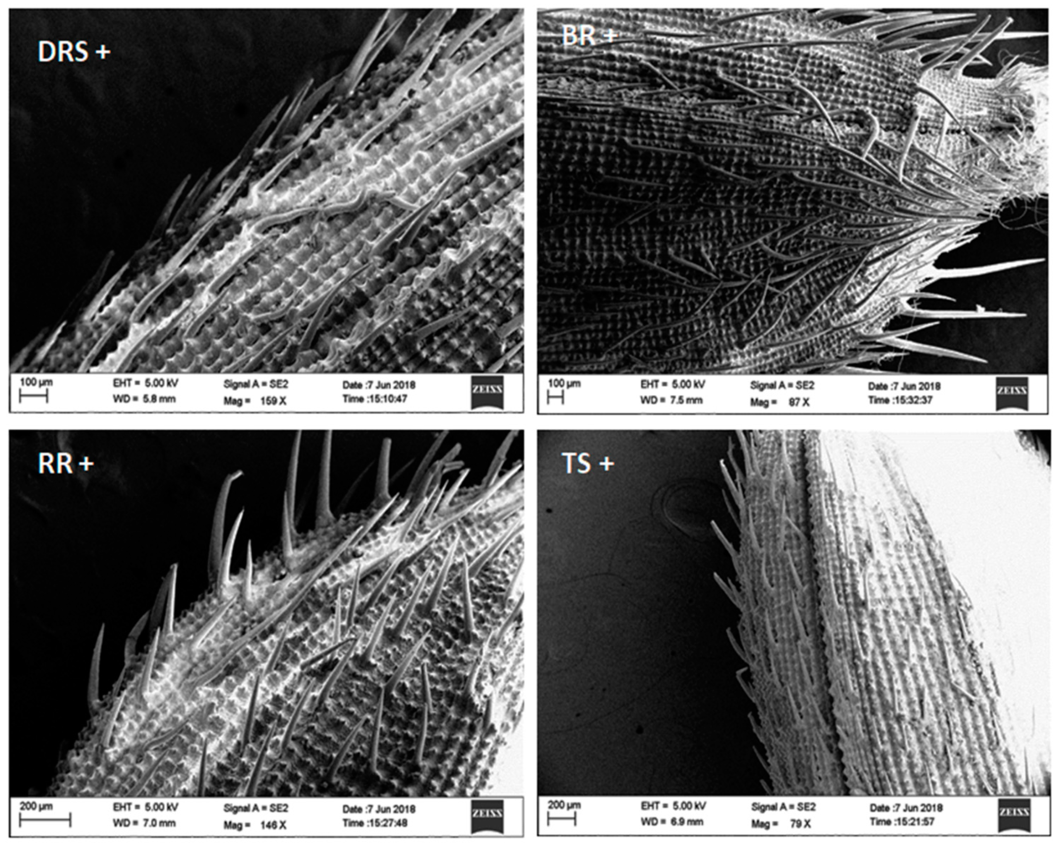 Biomolecules 13 00669 g005
