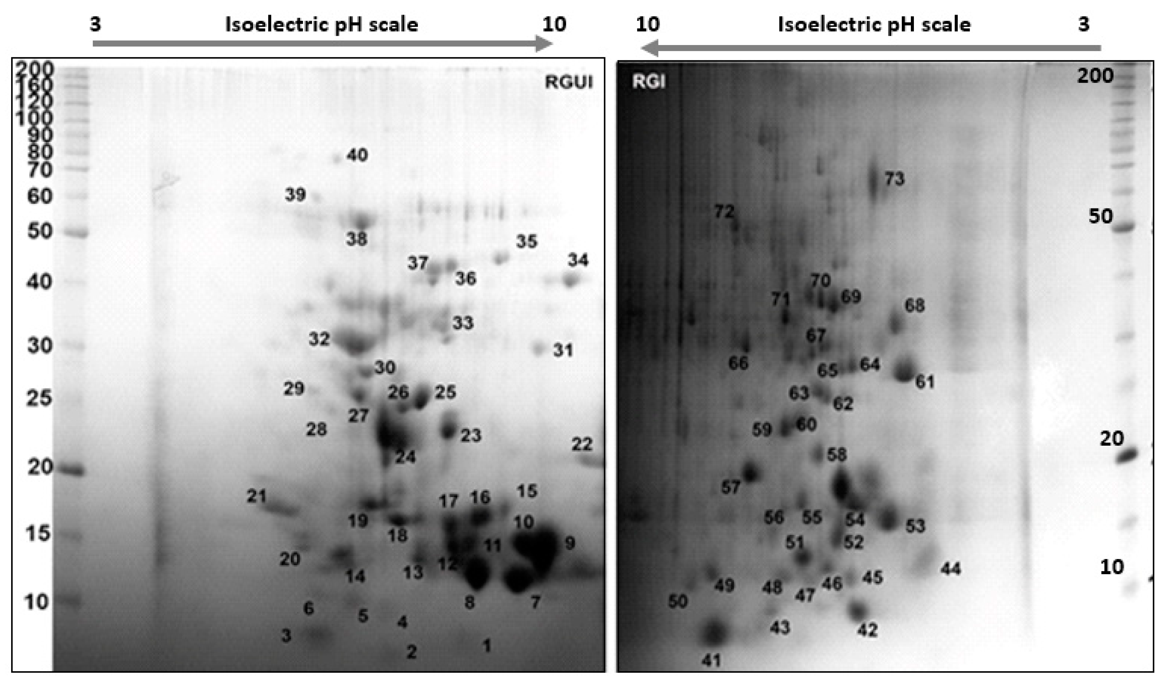 Biomolecules 13 00669 g009