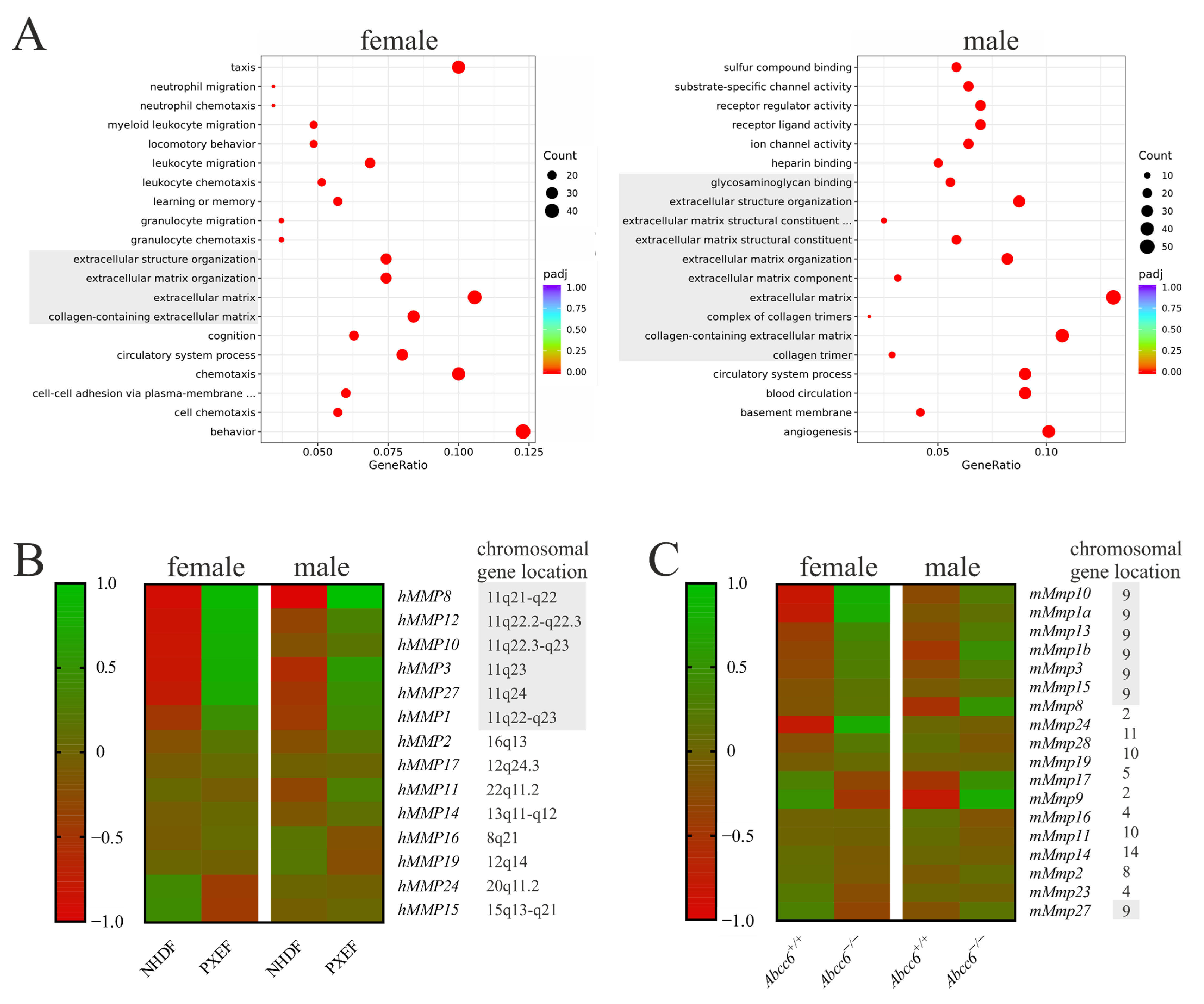 Biomolecules 13 00672 g001