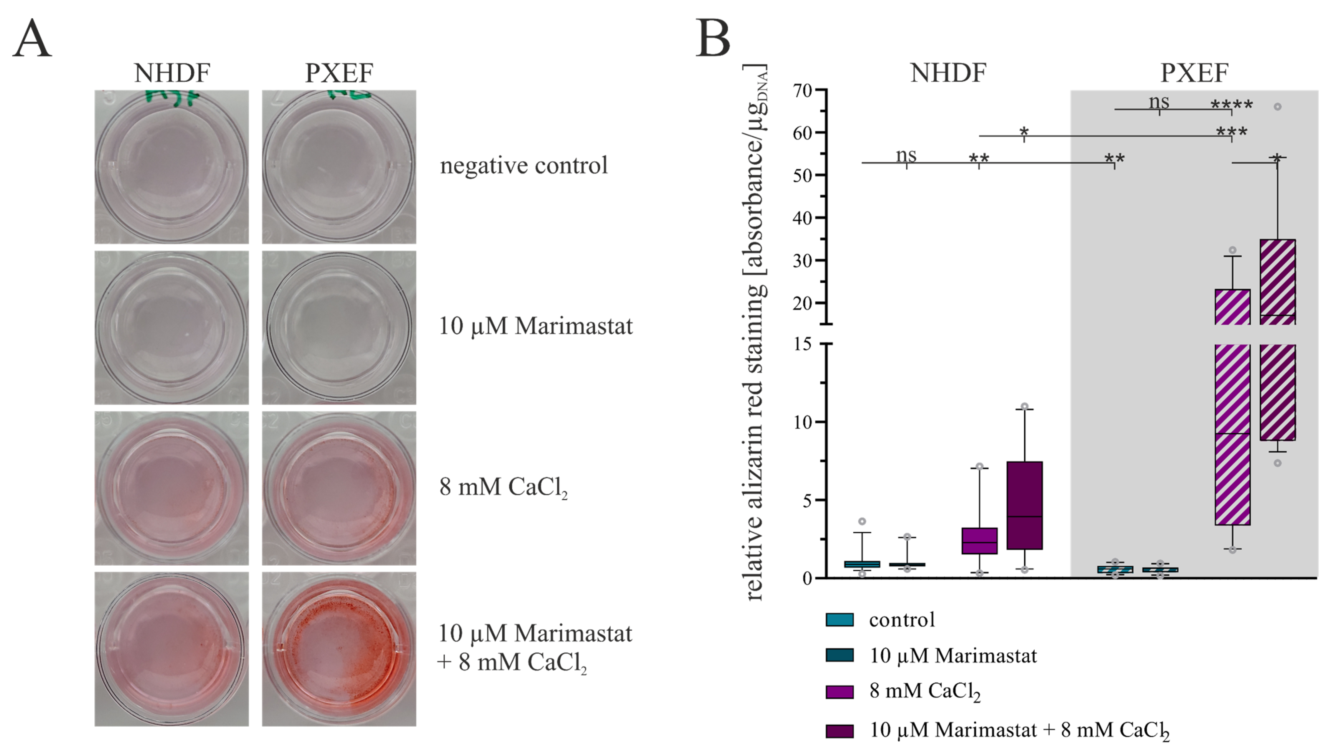 Biomolecules 13 00672 g005
