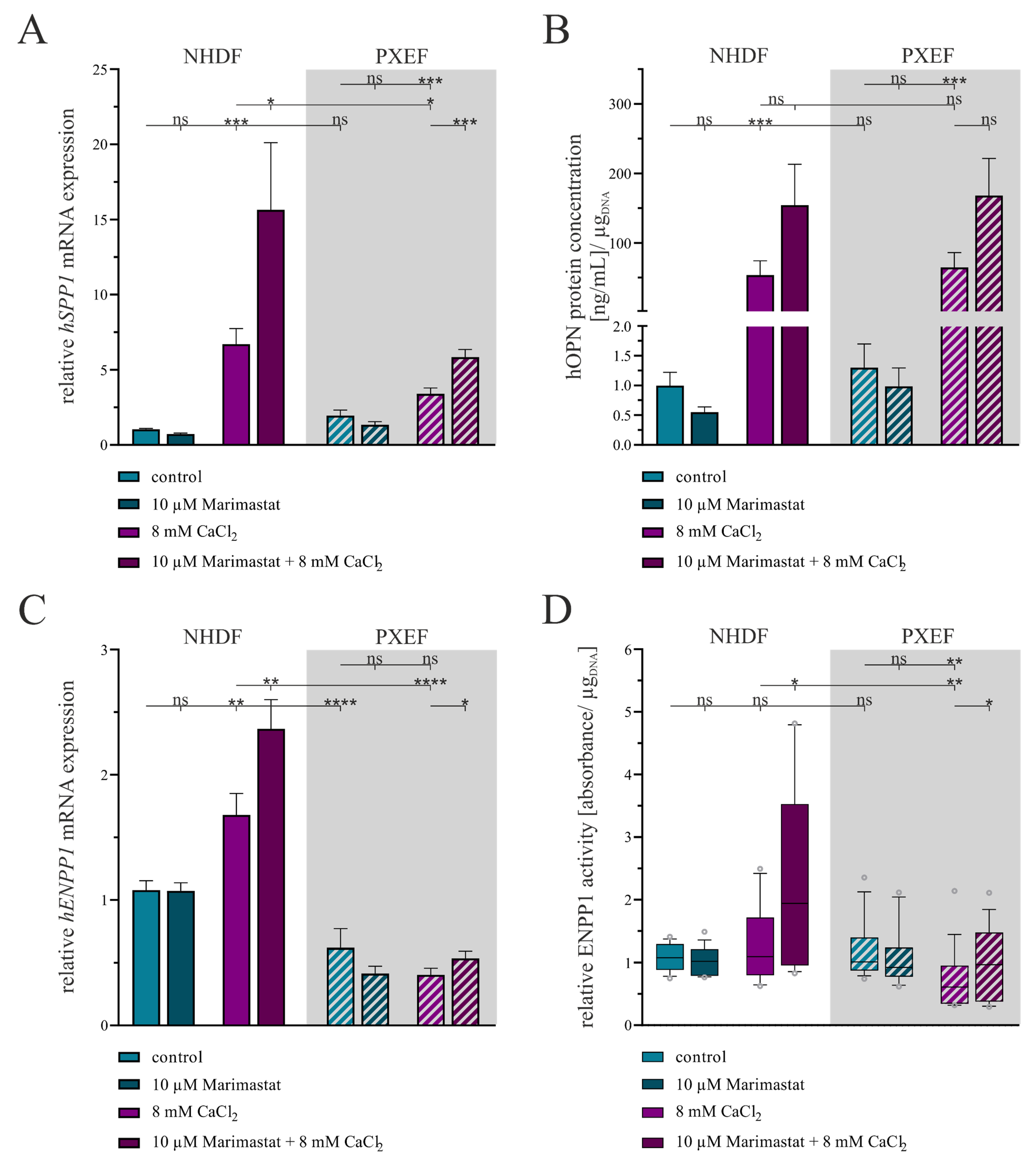 Biomolecules 13 00672 g006