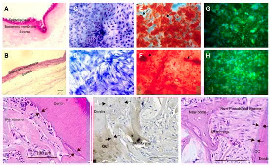 Biomolecules 13 00673 g001