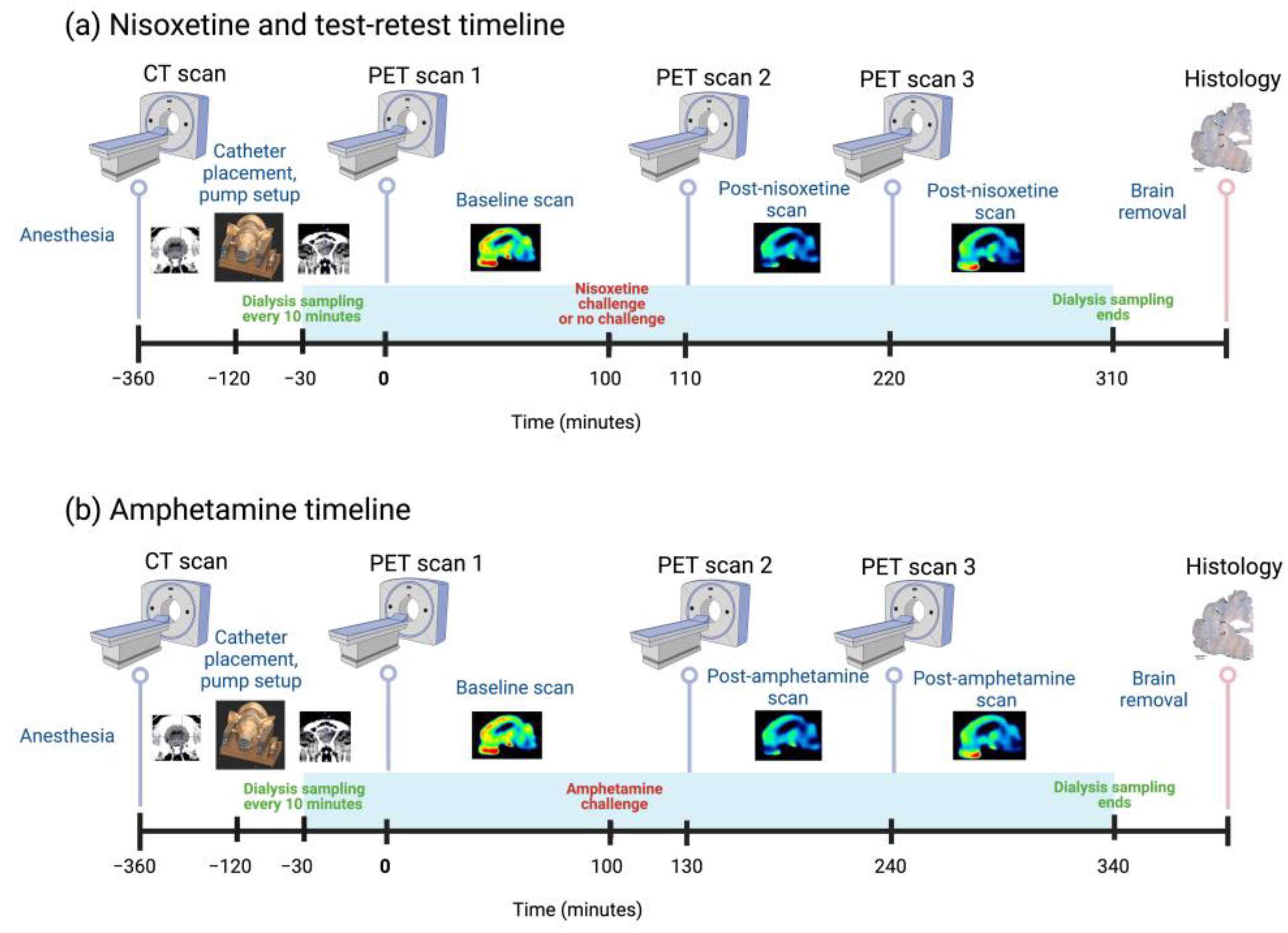 Biomolecules 13 00674 g002