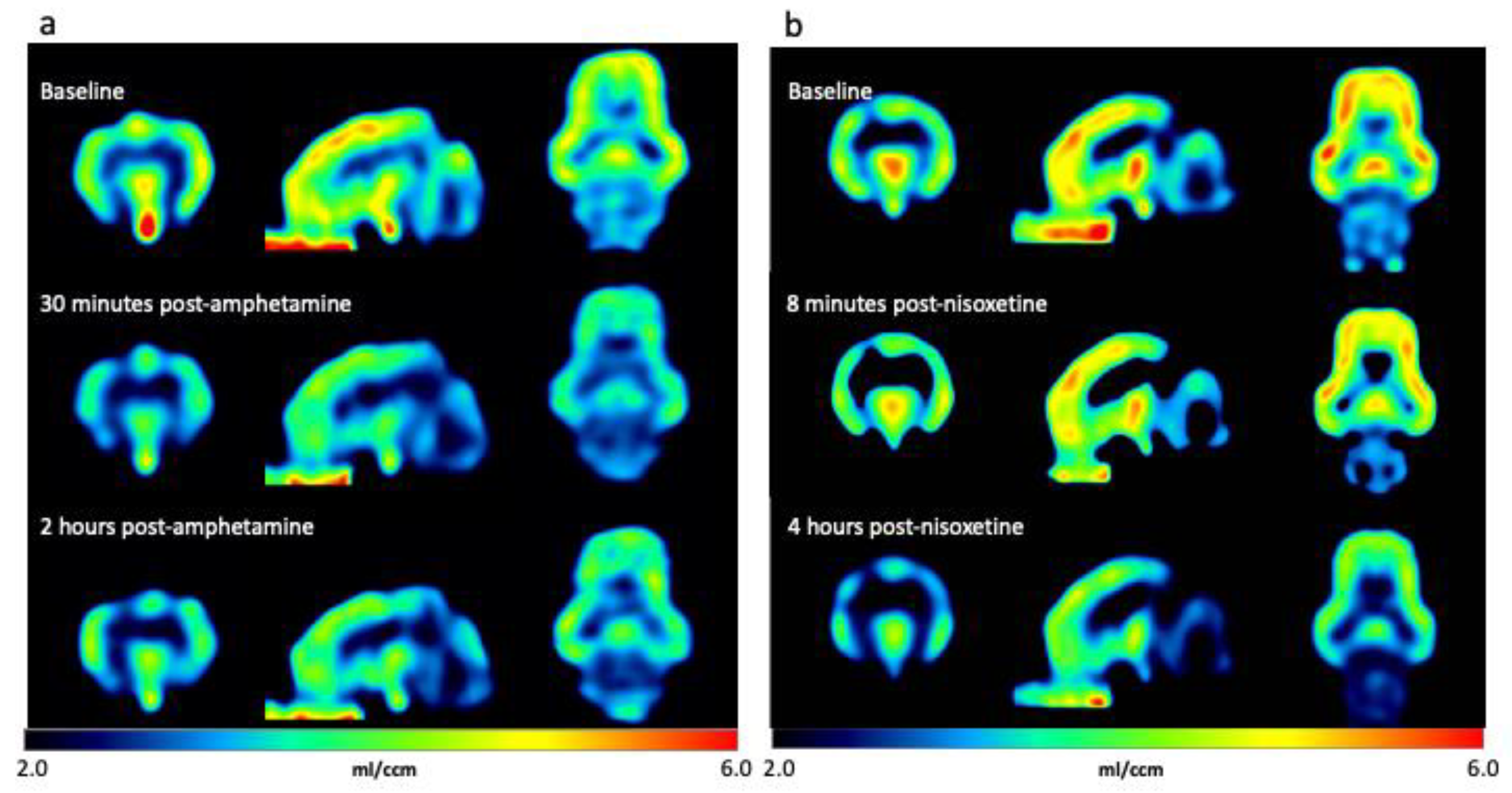 Biomolecules 13 00674 g003