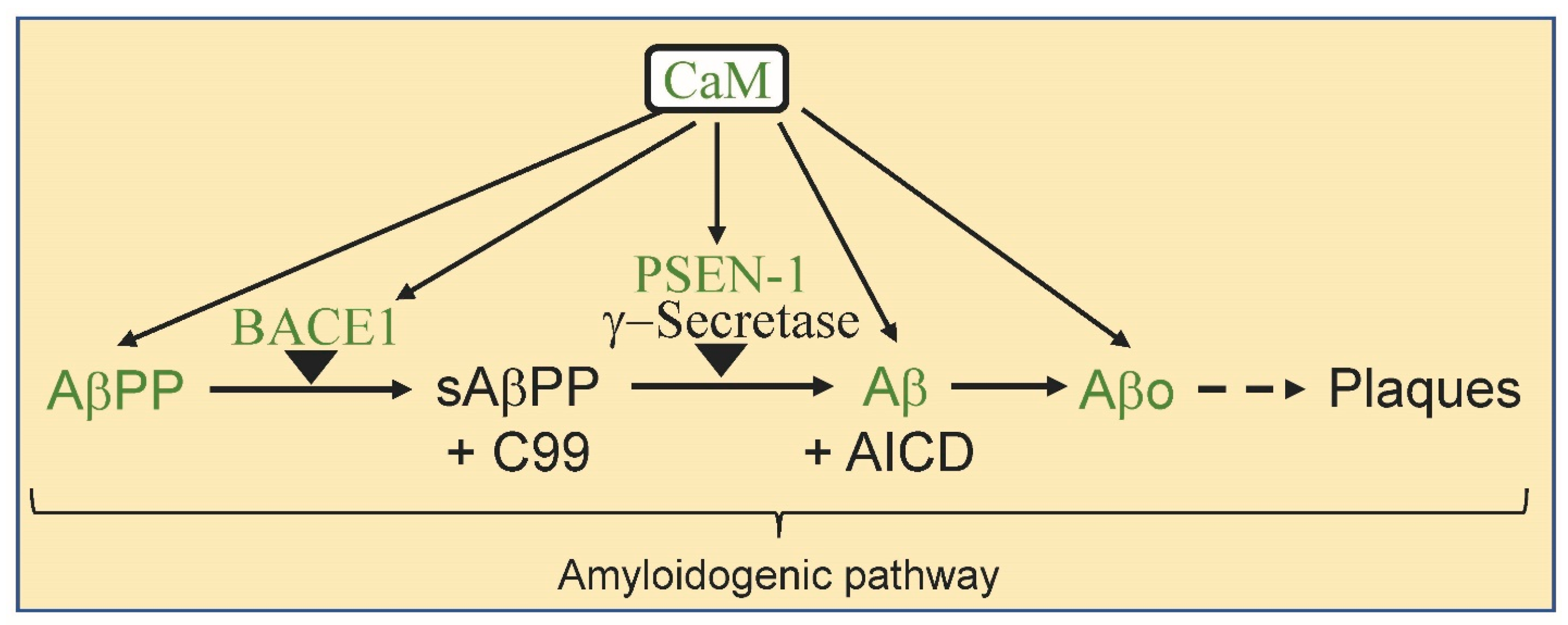Biomolecules 13 00678 g003
