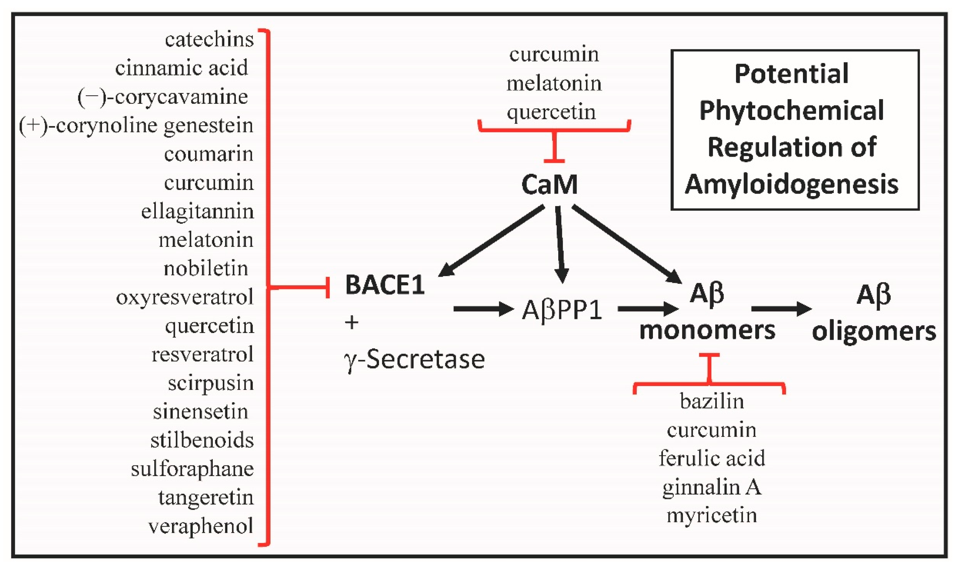 Biomolecules 13 00678 g004
