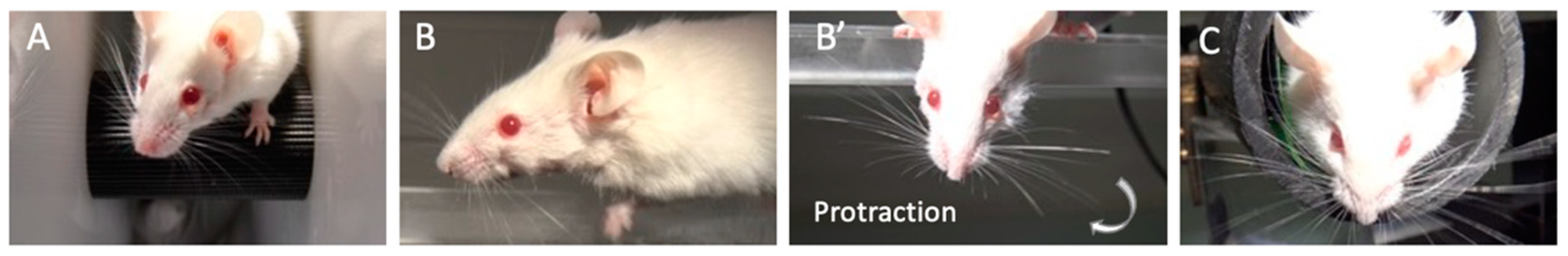 Biomolecules 13 00680 g001